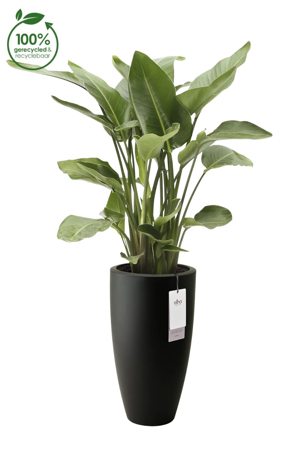 Blumentopf Elho June Round High 30 cm Schwarz
