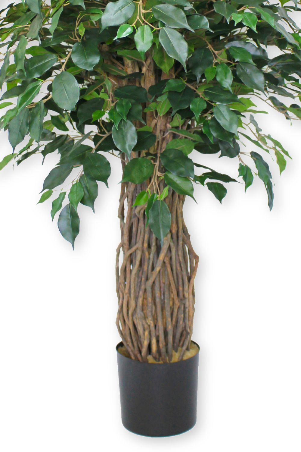 Ficus Liana Kunstpflanze 180cm