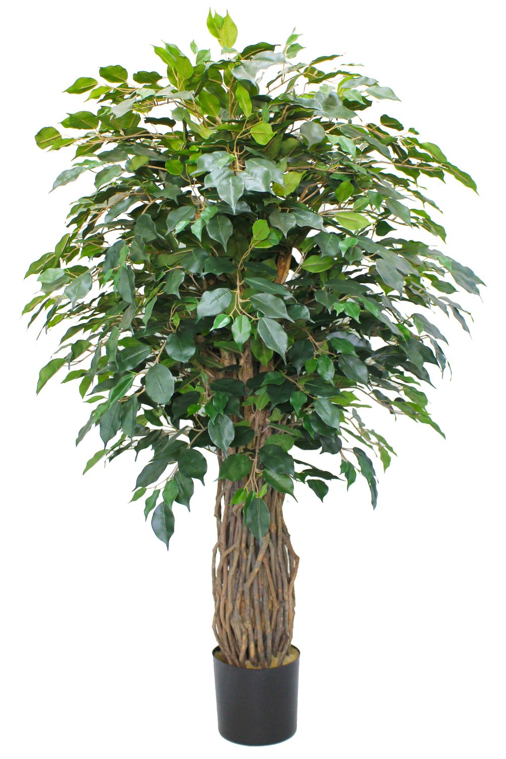 Ficus Liana Kunstpflanze 180cm