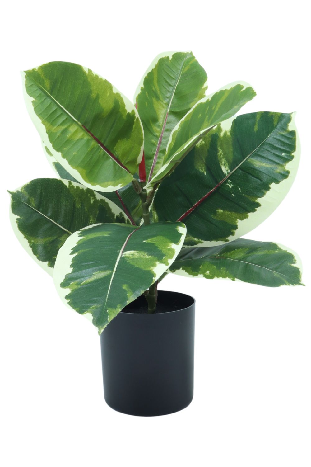 Ficus Elastica Kunstpflanze 30 cm - PrettyPflanzen