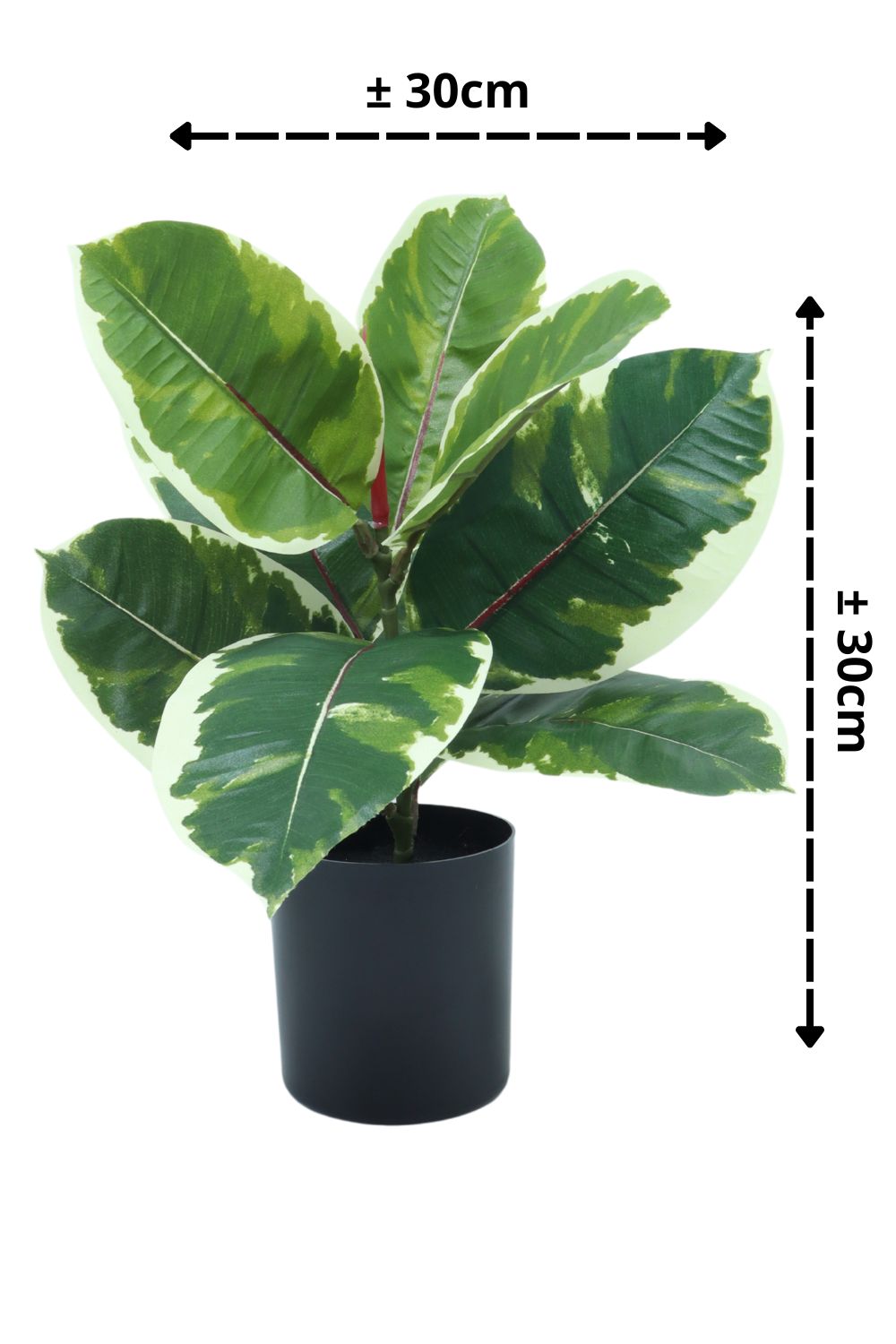 Ficus Elastica Kunstpflanze 30 cm - prettypflanzen