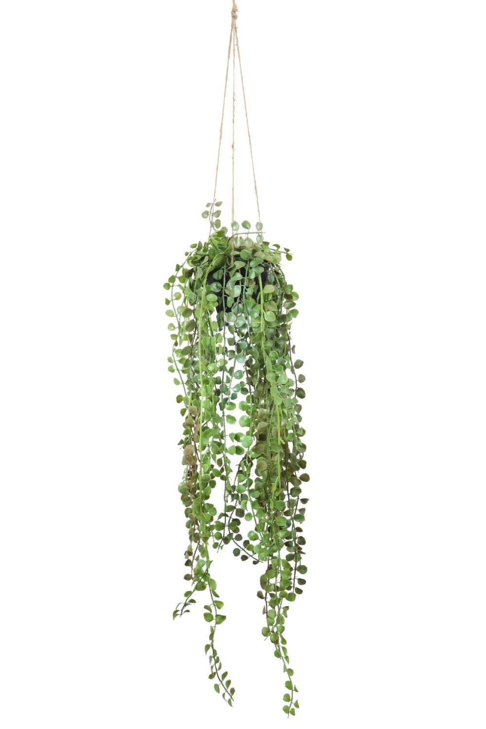 Ficus Pumilla Kunst-Hängepflanze 70 cm – prettypflanzen