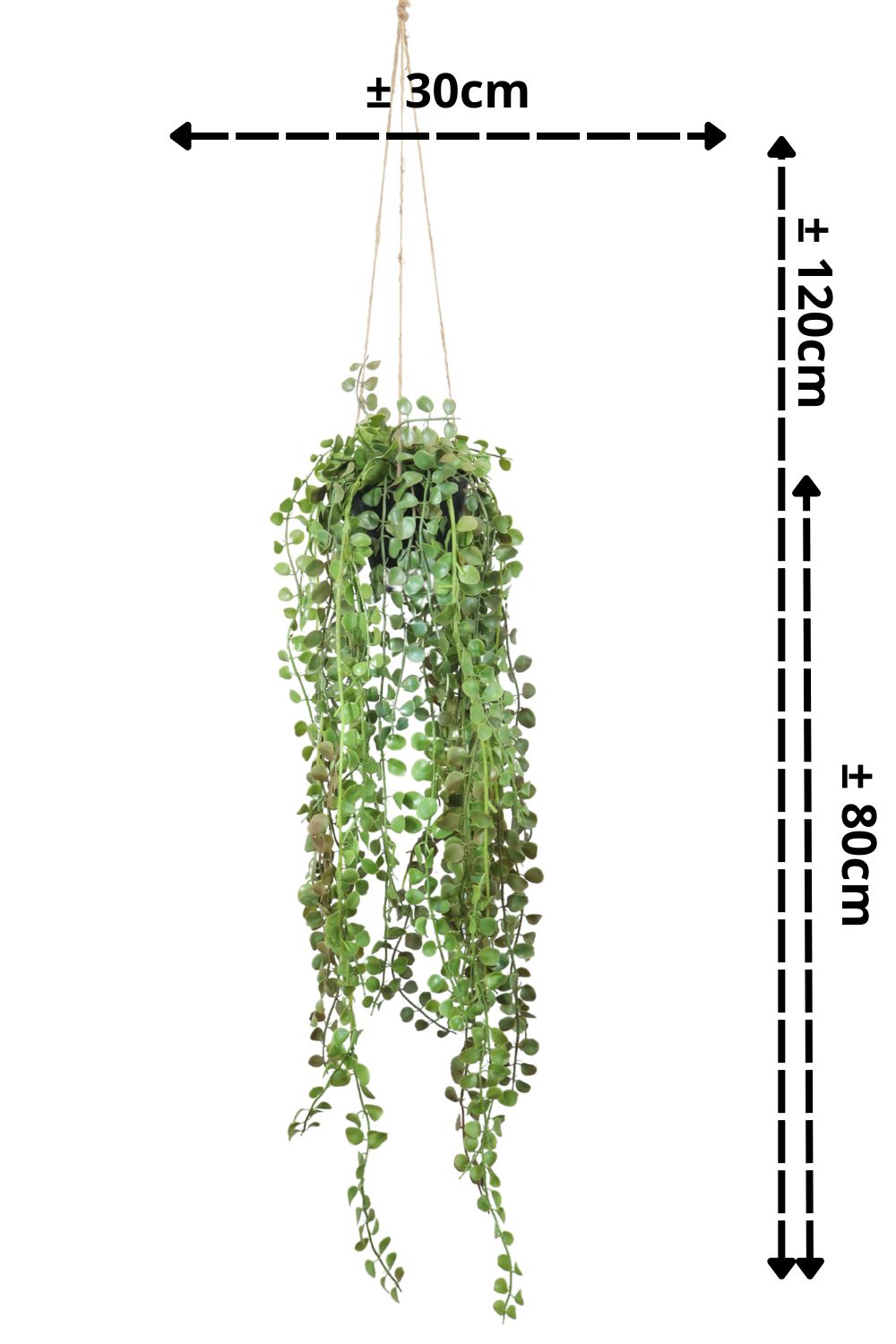 Ficus Pumilla Kunst-Hängepflanze 70 cm – prettypflanzen