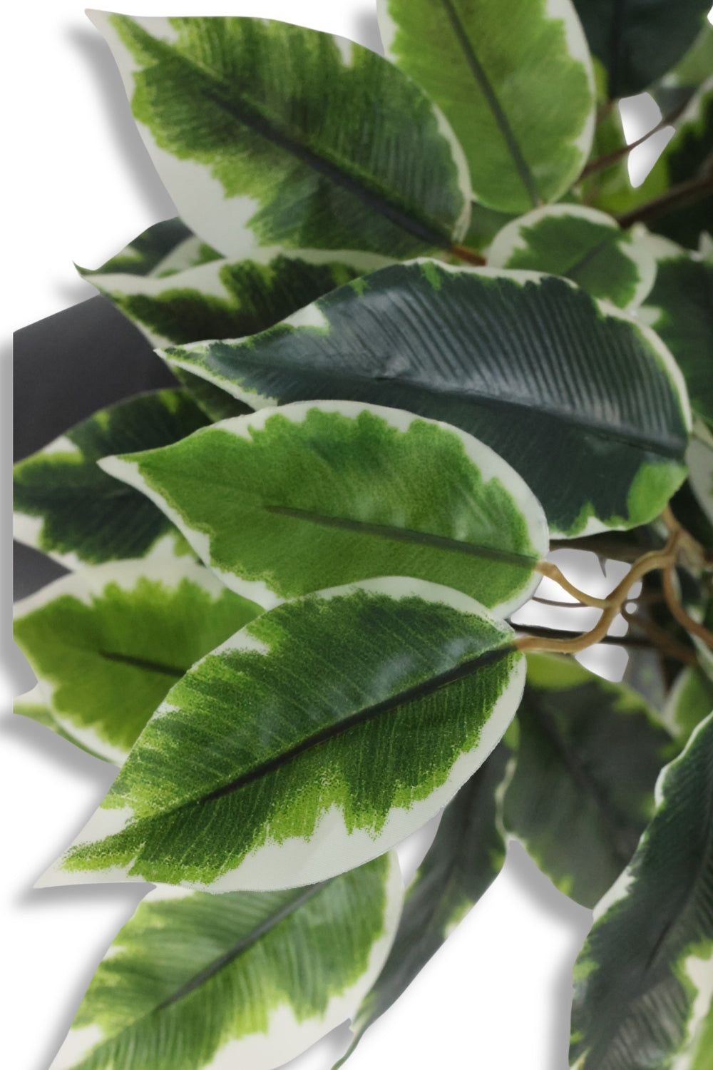 Ficus Kunstpflanze 40cm