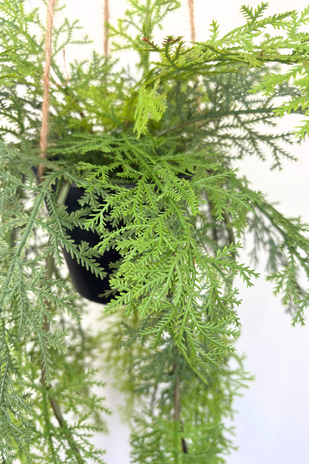 Kunstfarn-Hängepflanze 100cm - PrettyPflanzen