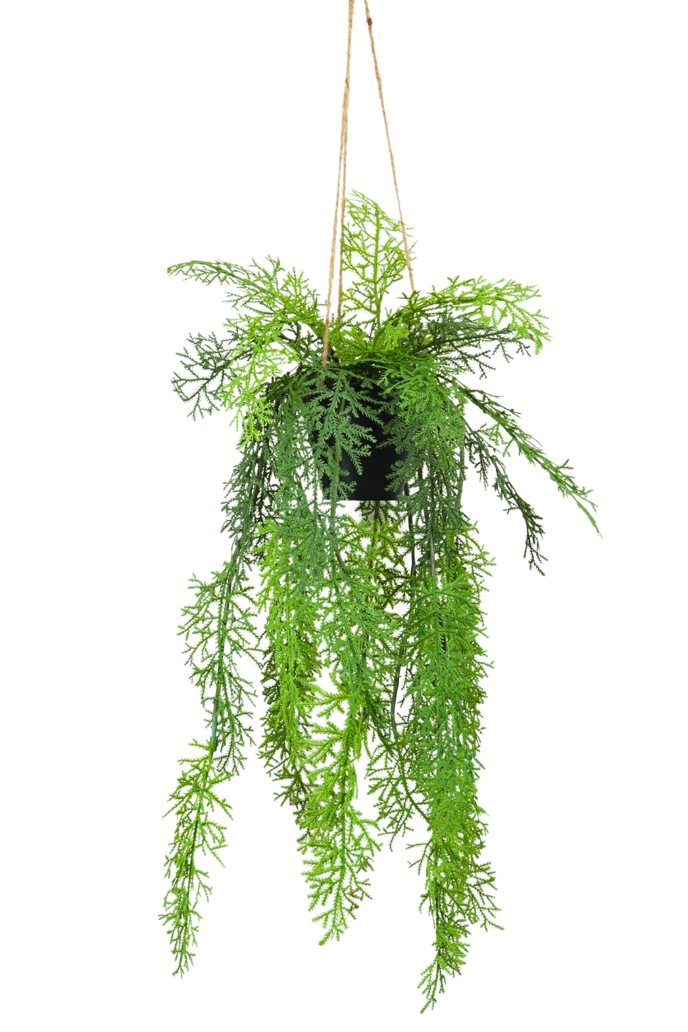 Kunstfarn-Hängepflanze 100cm - PrettyPflanzen