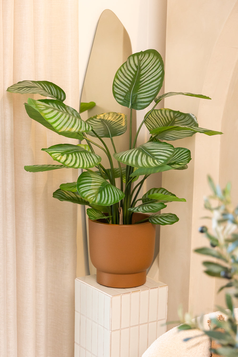 Calathea Kunstpflanze 80 cm schnell günstig online kaufen