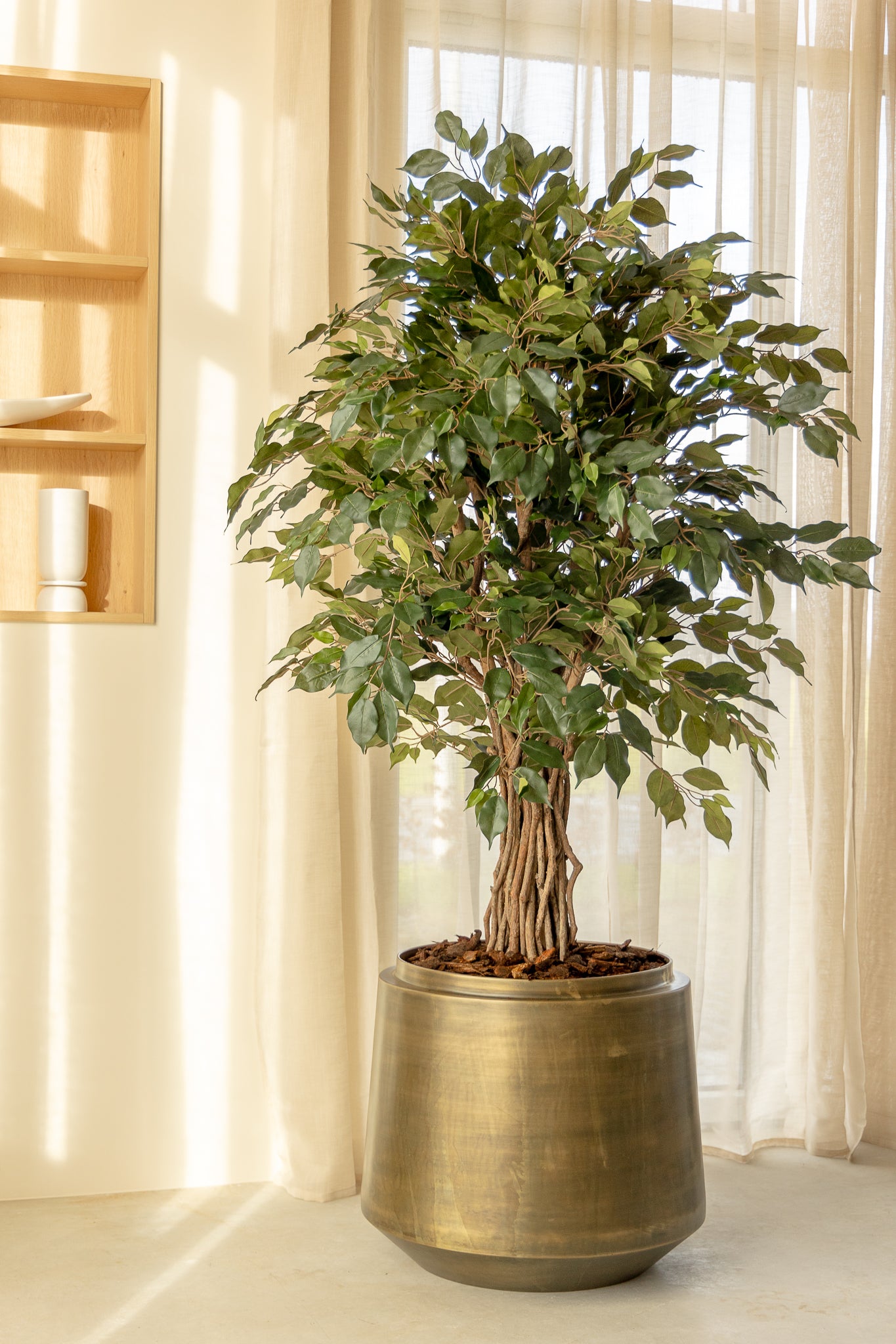 Ficus Liana Kunstpflanze 180cm