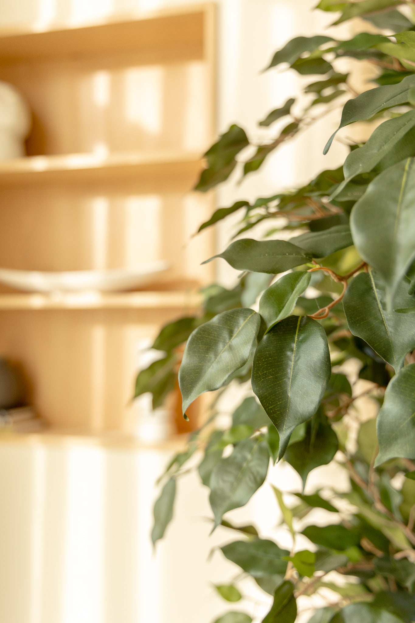 Ficus Liana Kunstpflanze 180cm