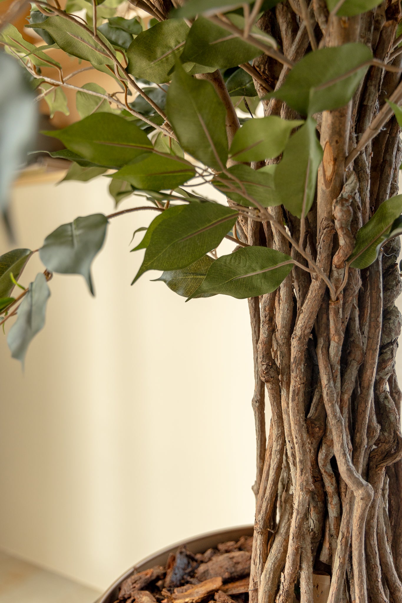 Ficus Liana Kunstpflanze 180cm