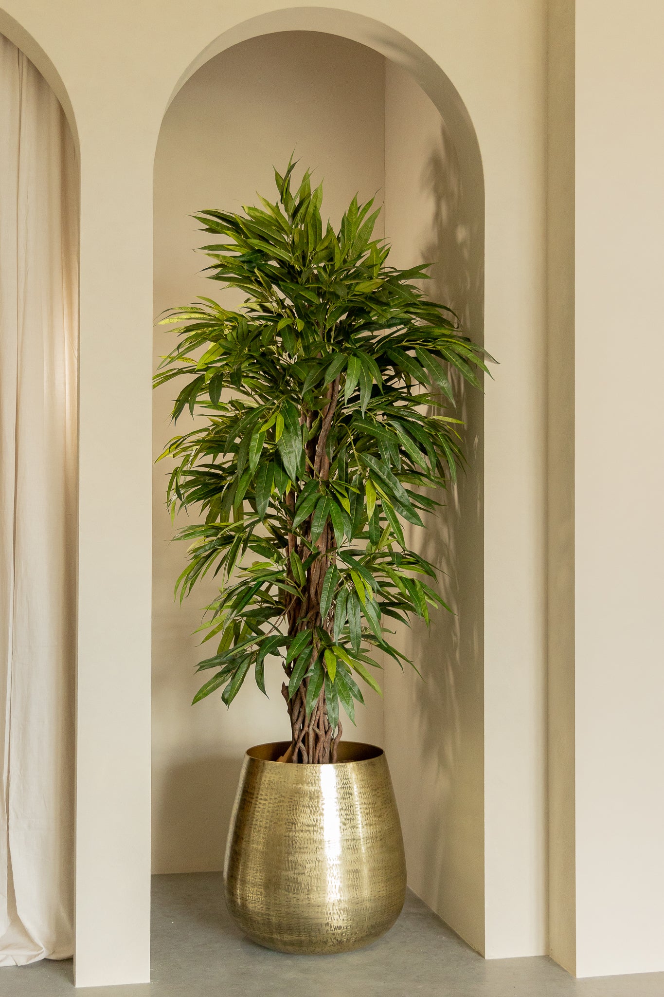 Longifolia Kunstpflanze 180 cm