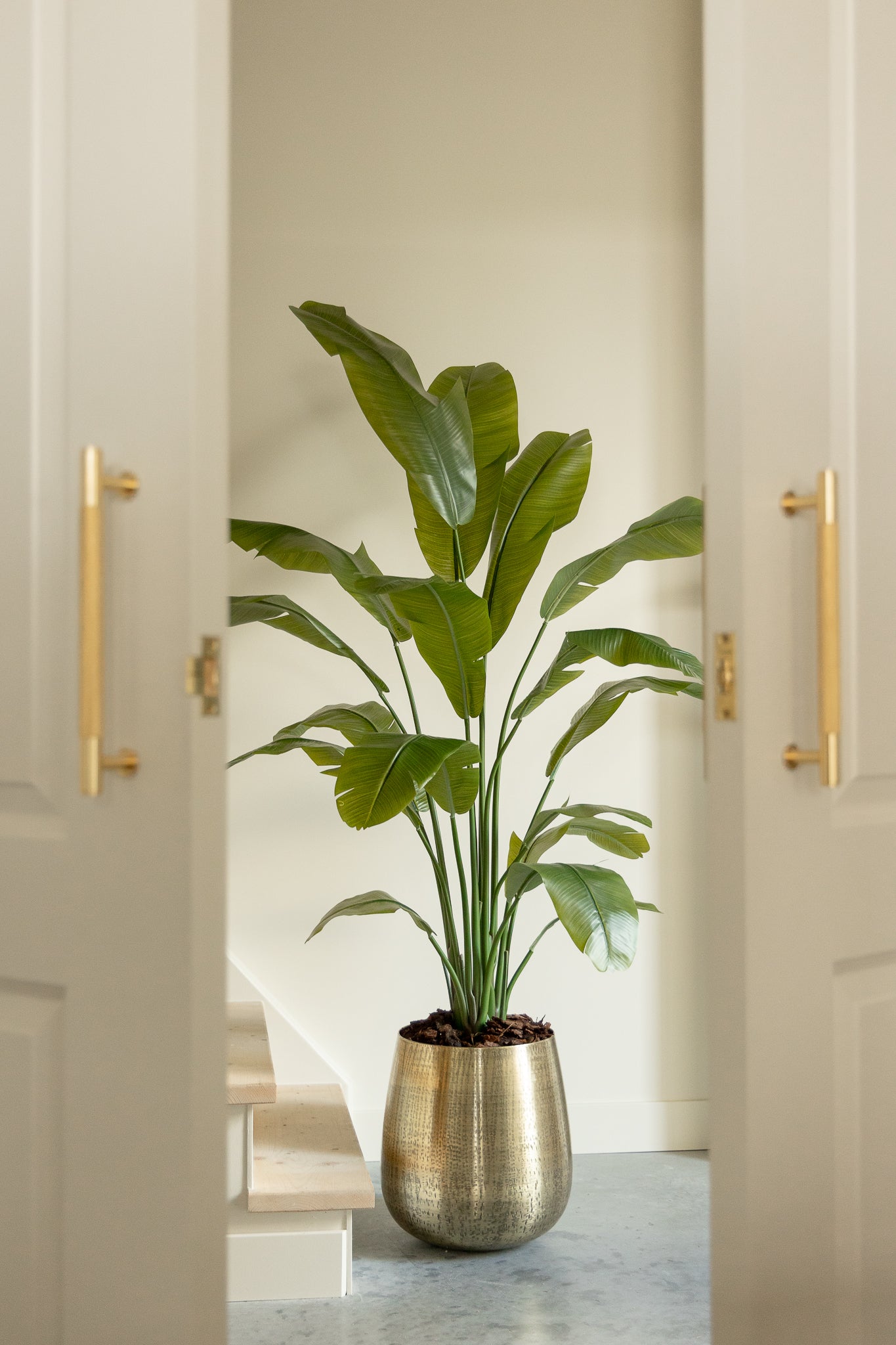 Strelitzia Kunstpflanze 180cm