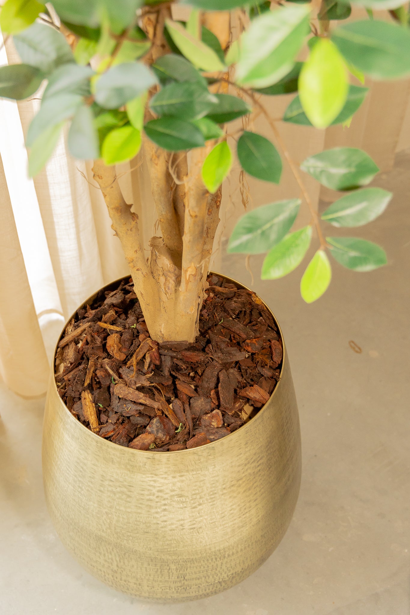 Ficus Kunstpflanze 180cm