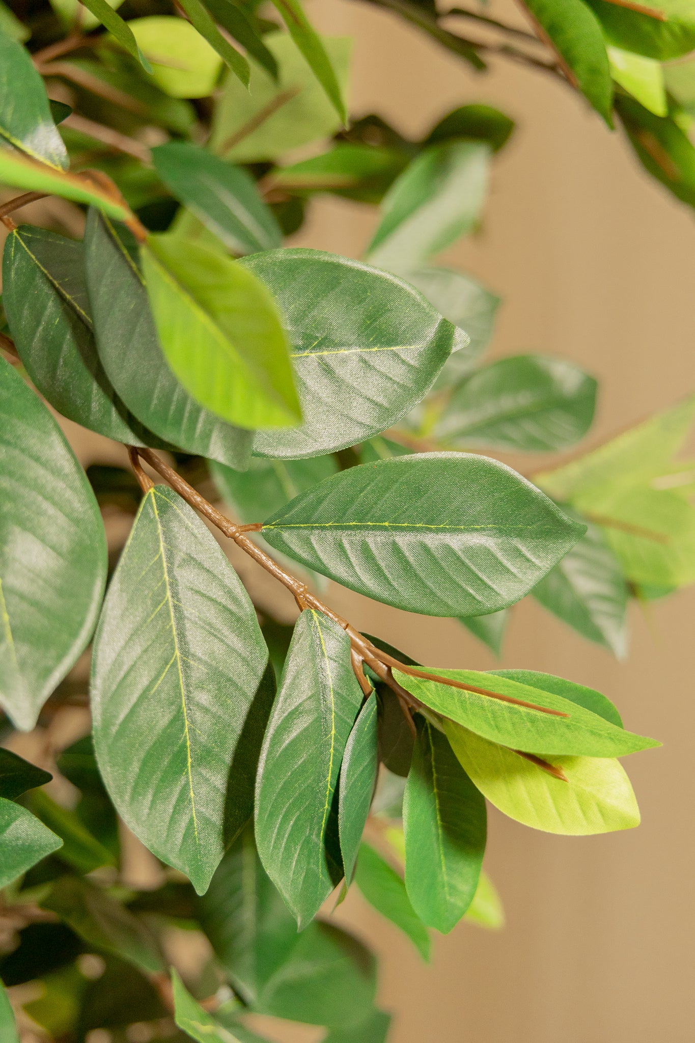 Ficus Kunstpflanze 180cm