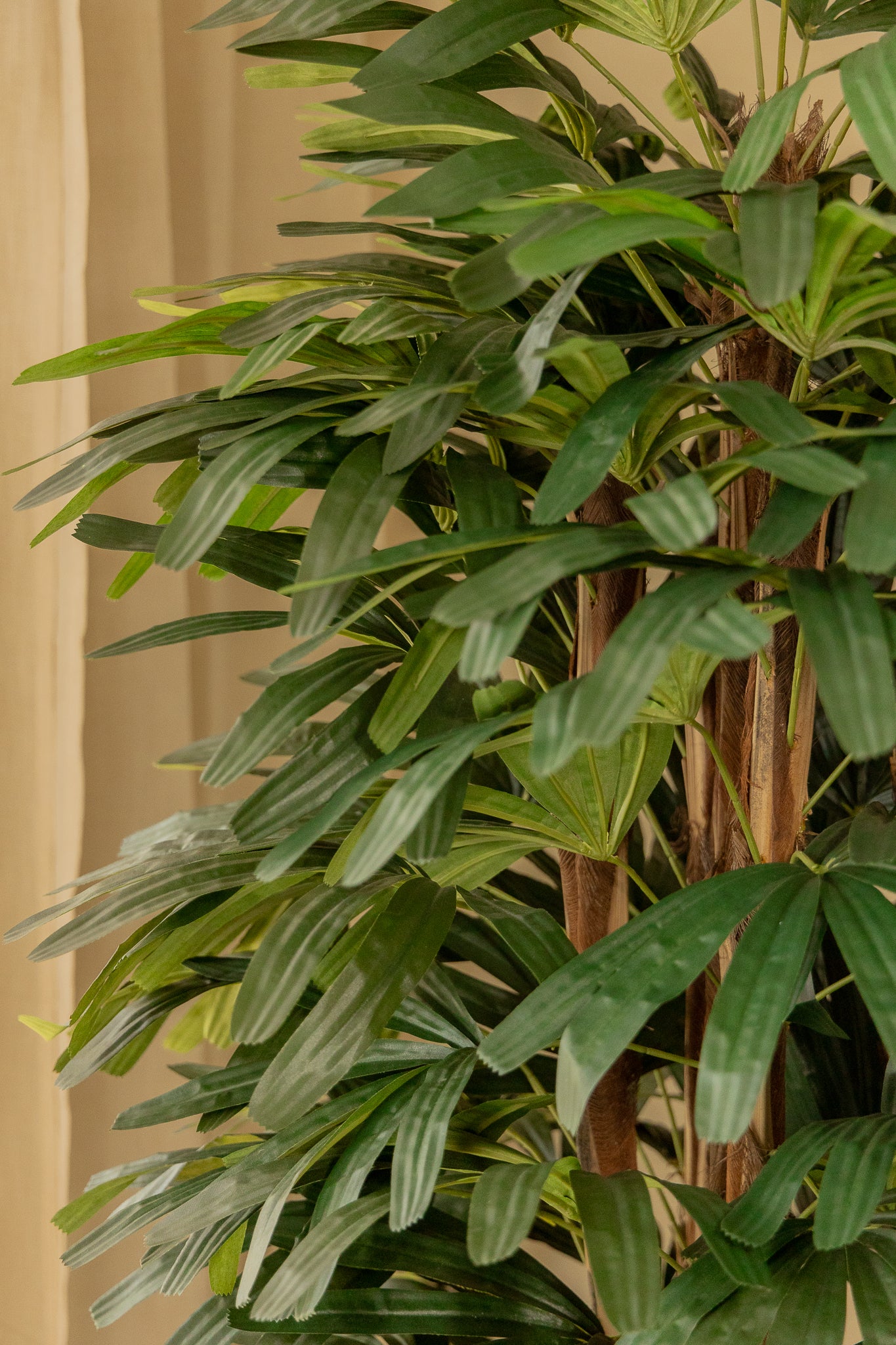 Raphis Kunstpalme 180 cm