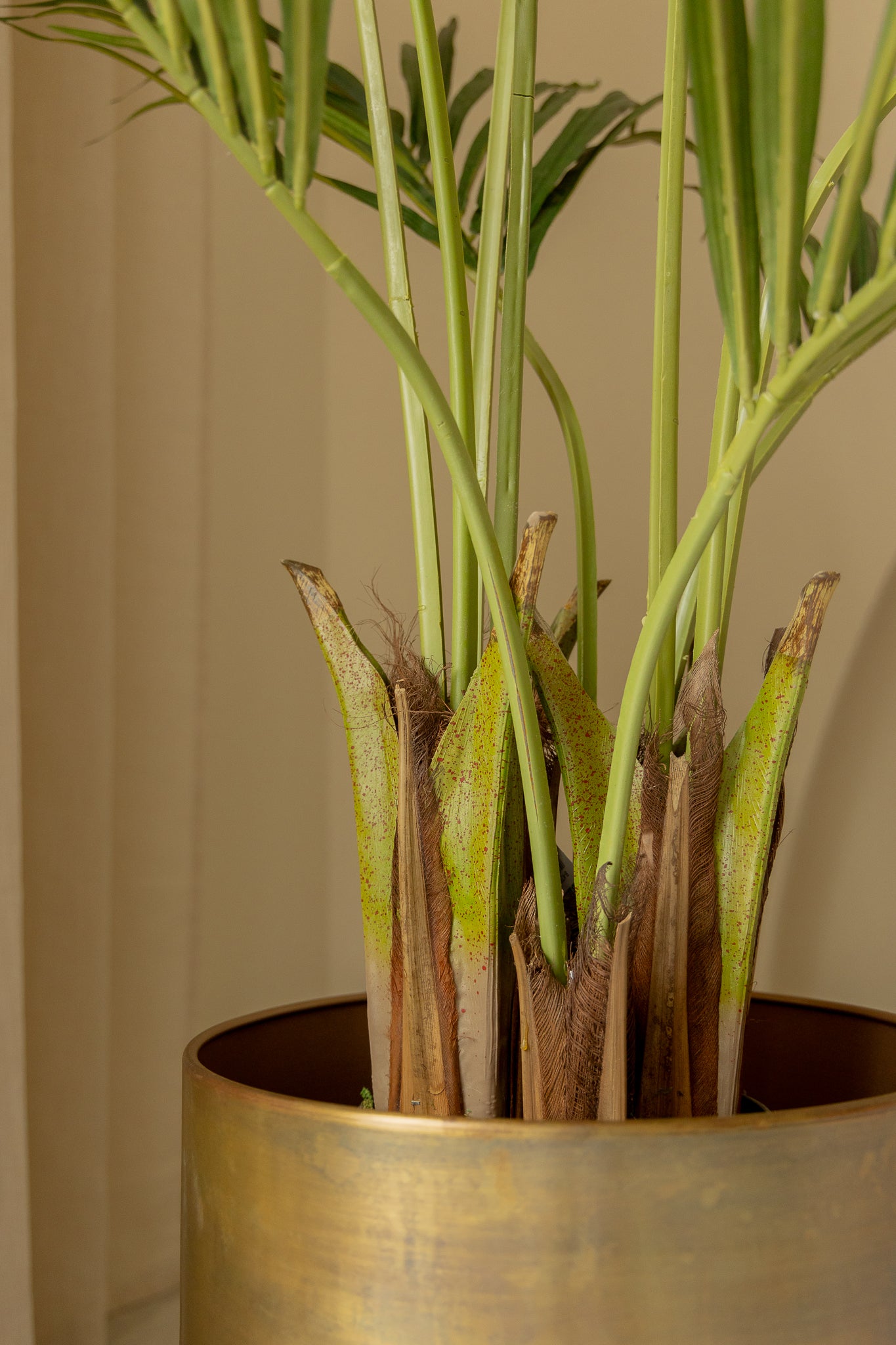 Künstliche palme Kentia 180cm