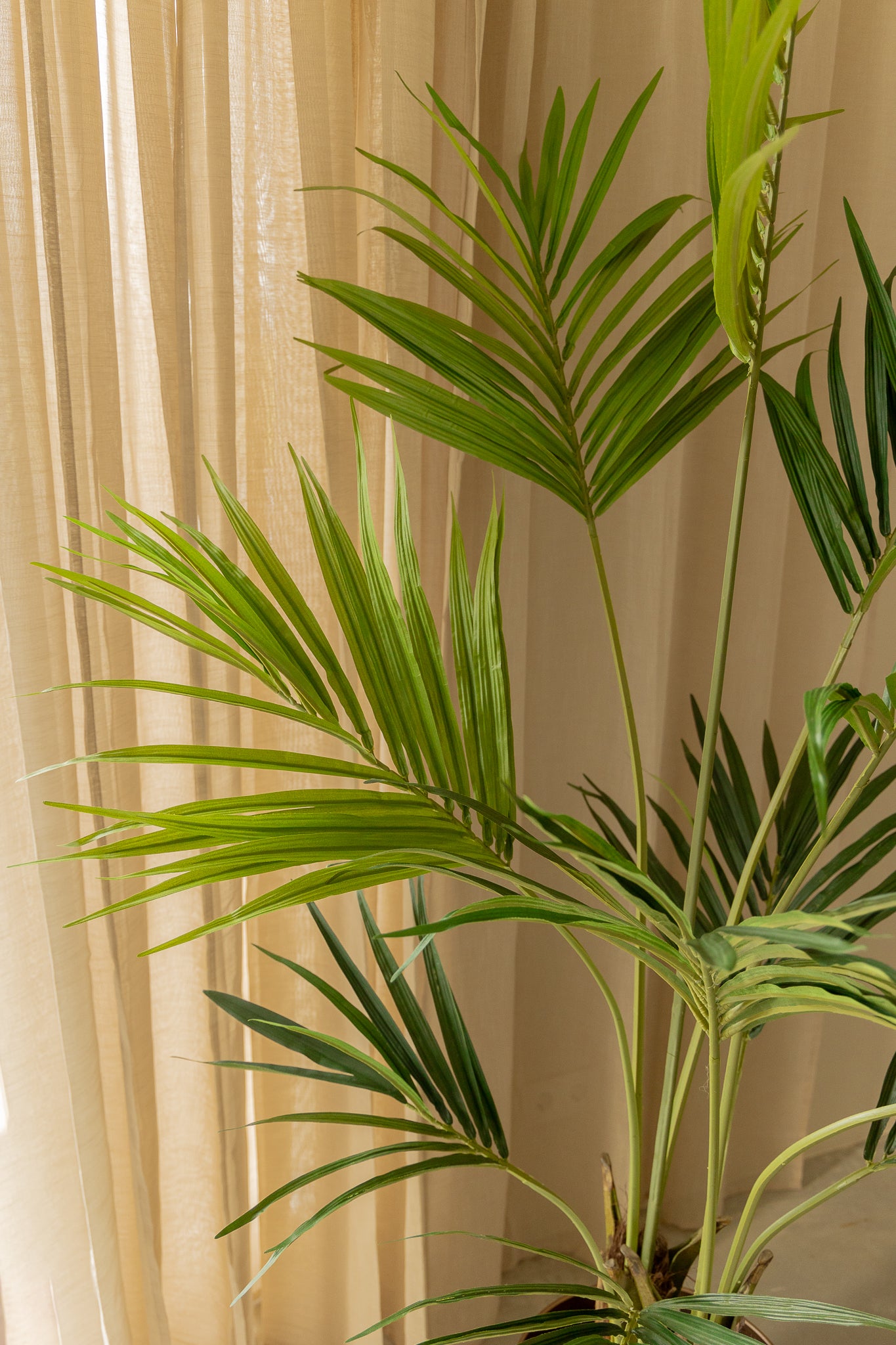 Künstliche palme Kentia 180cm