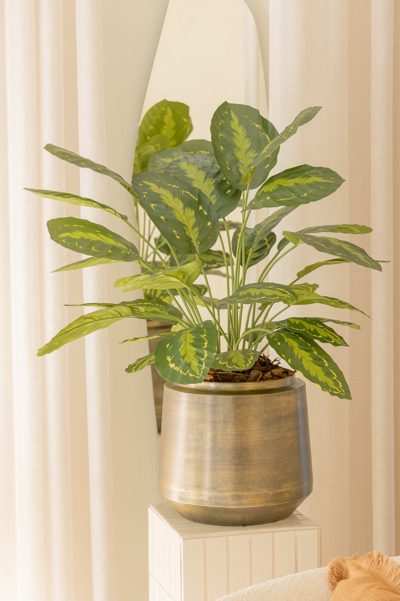 Calathea Kunstpflanze 70cm