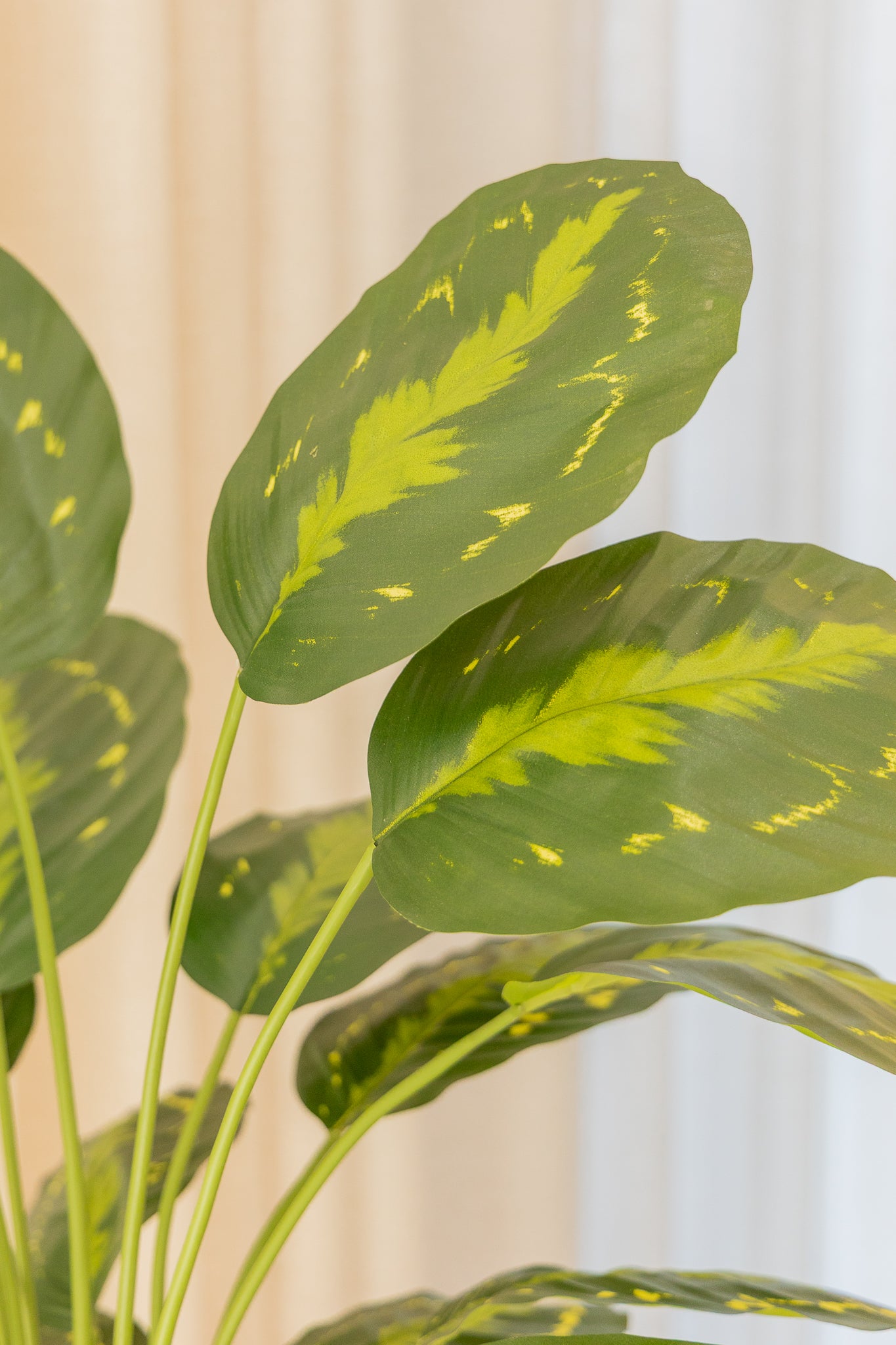 Calathea Kunstpflanze 70cm