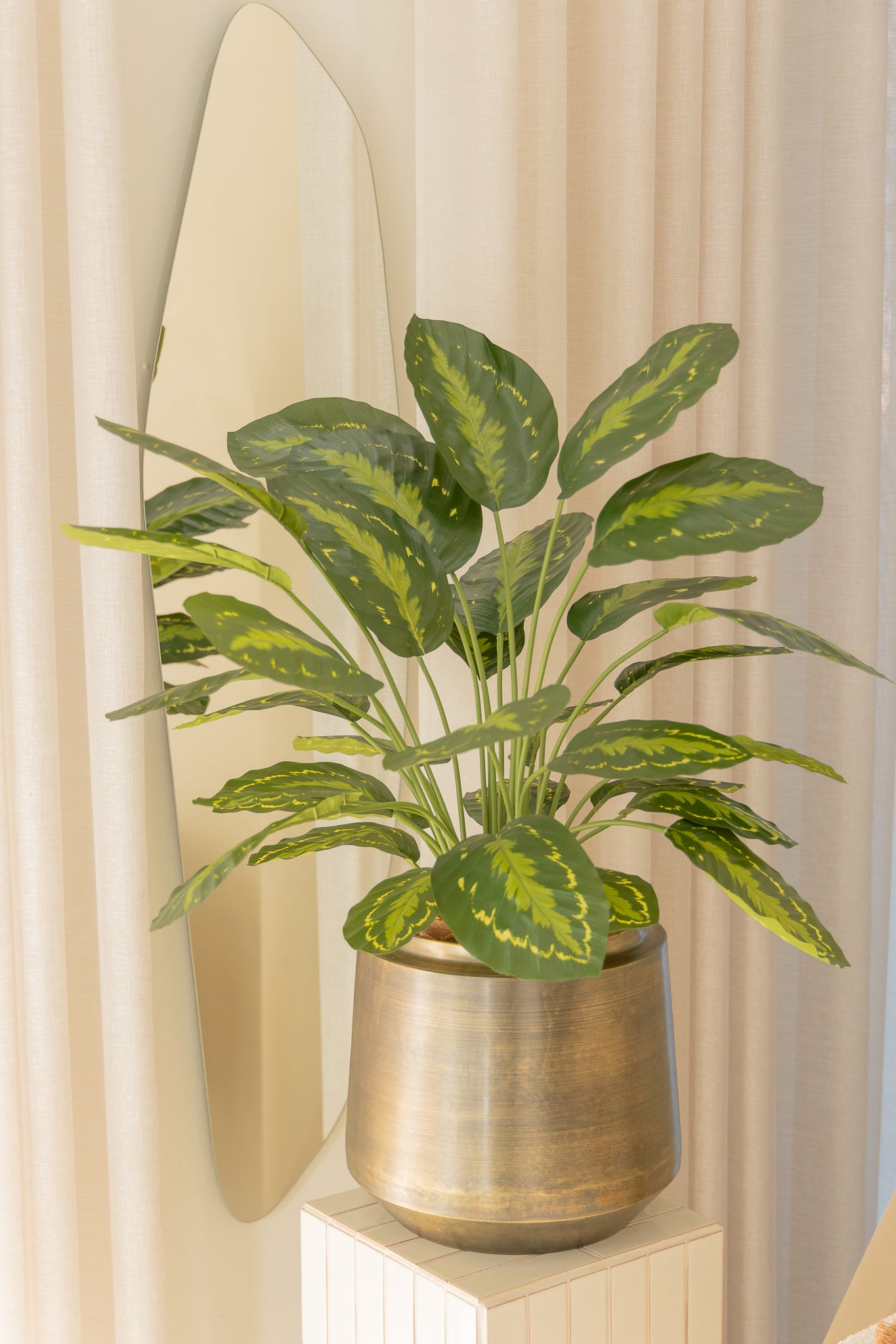 Calathea Kunstpflanze 70cm