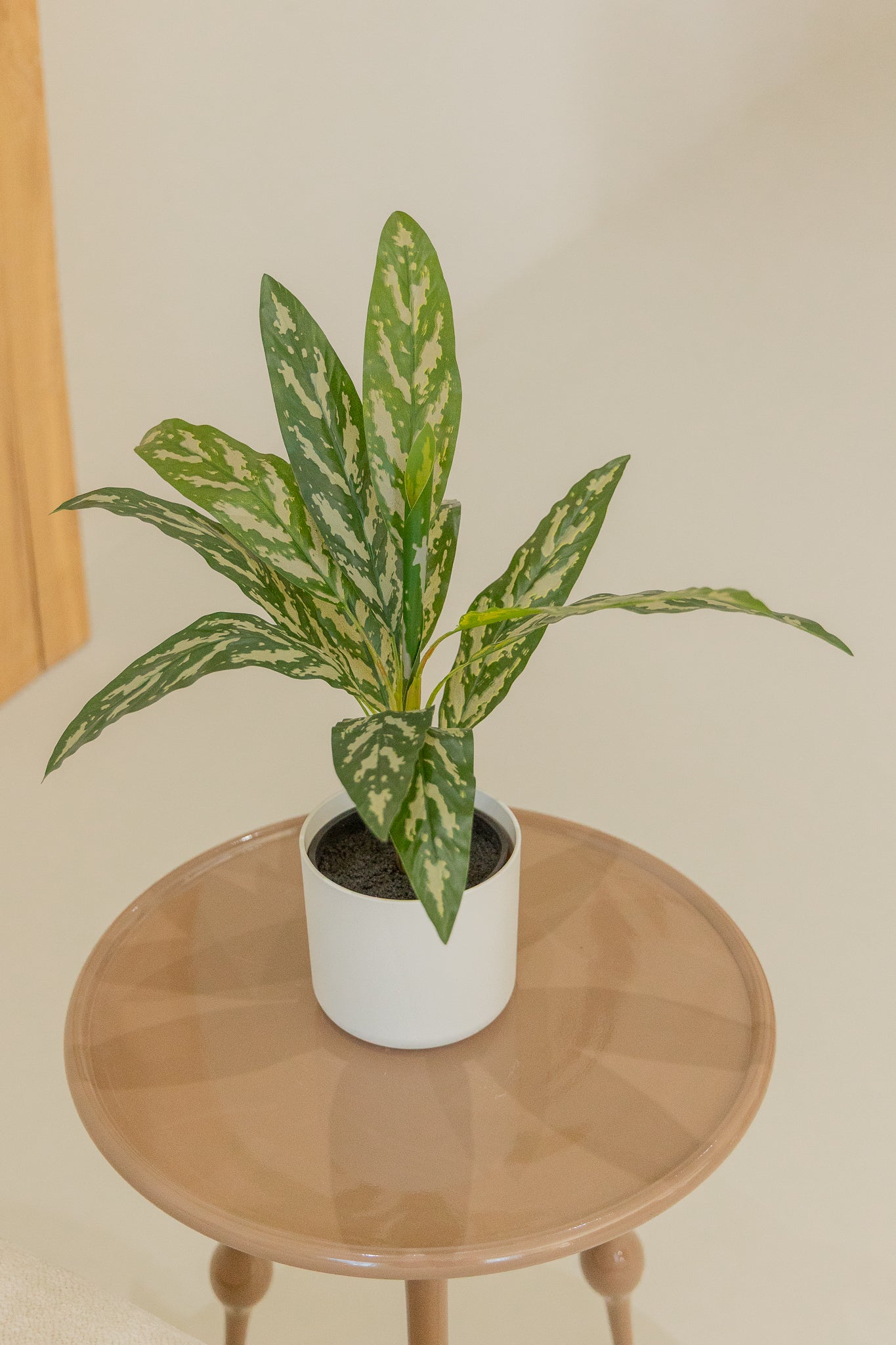 Dracaena Kunstpflanze 40 cm