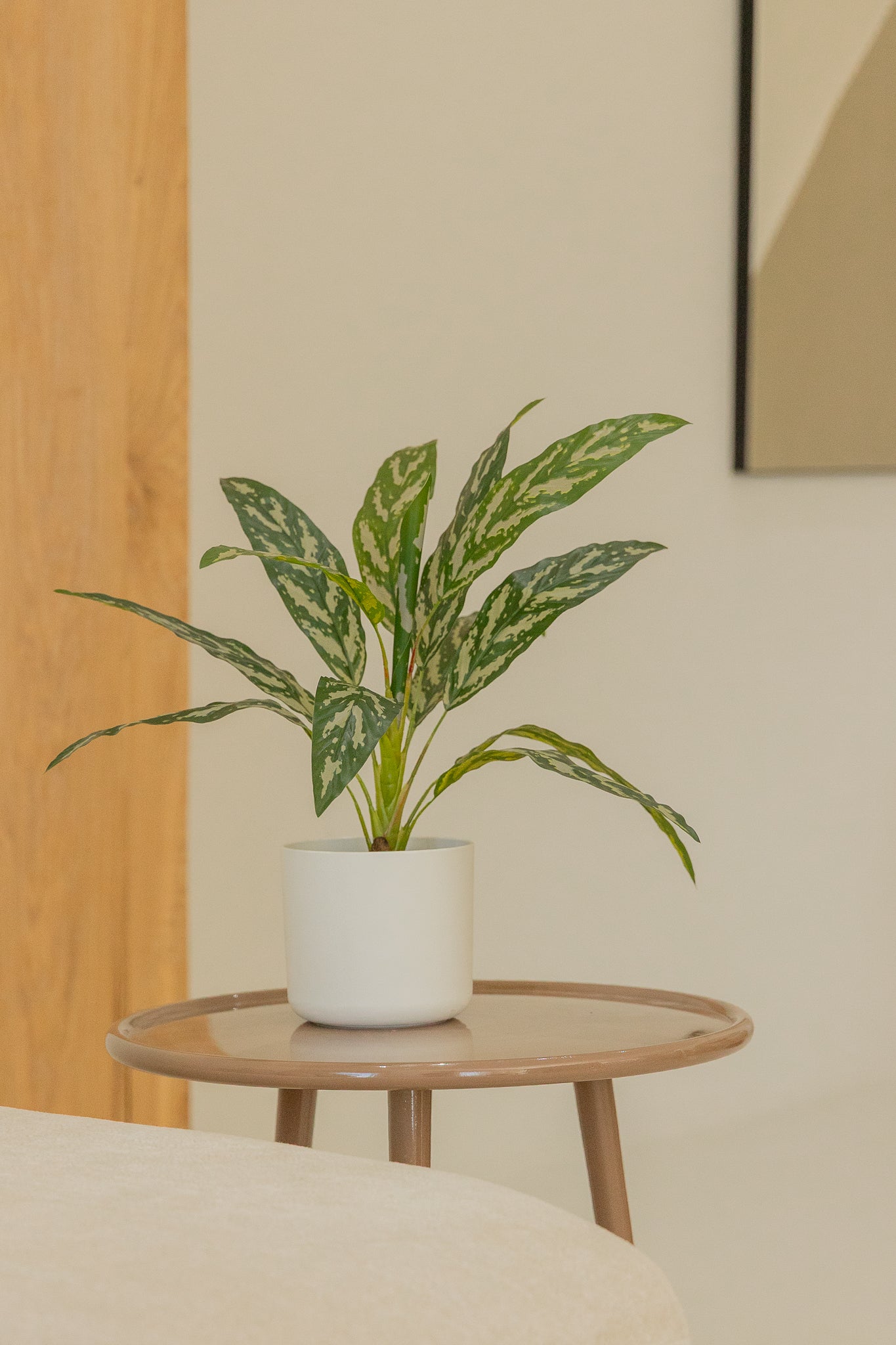 Dracaena Kunstpflanze 40 cm