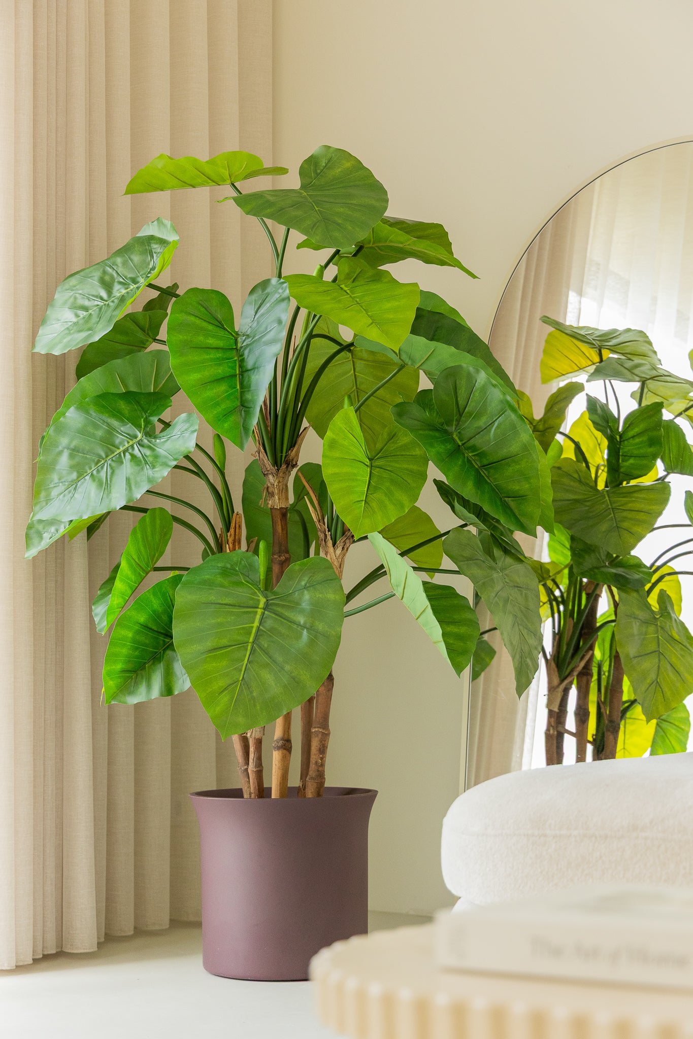 Alocasia Kunstpflanze 165cm