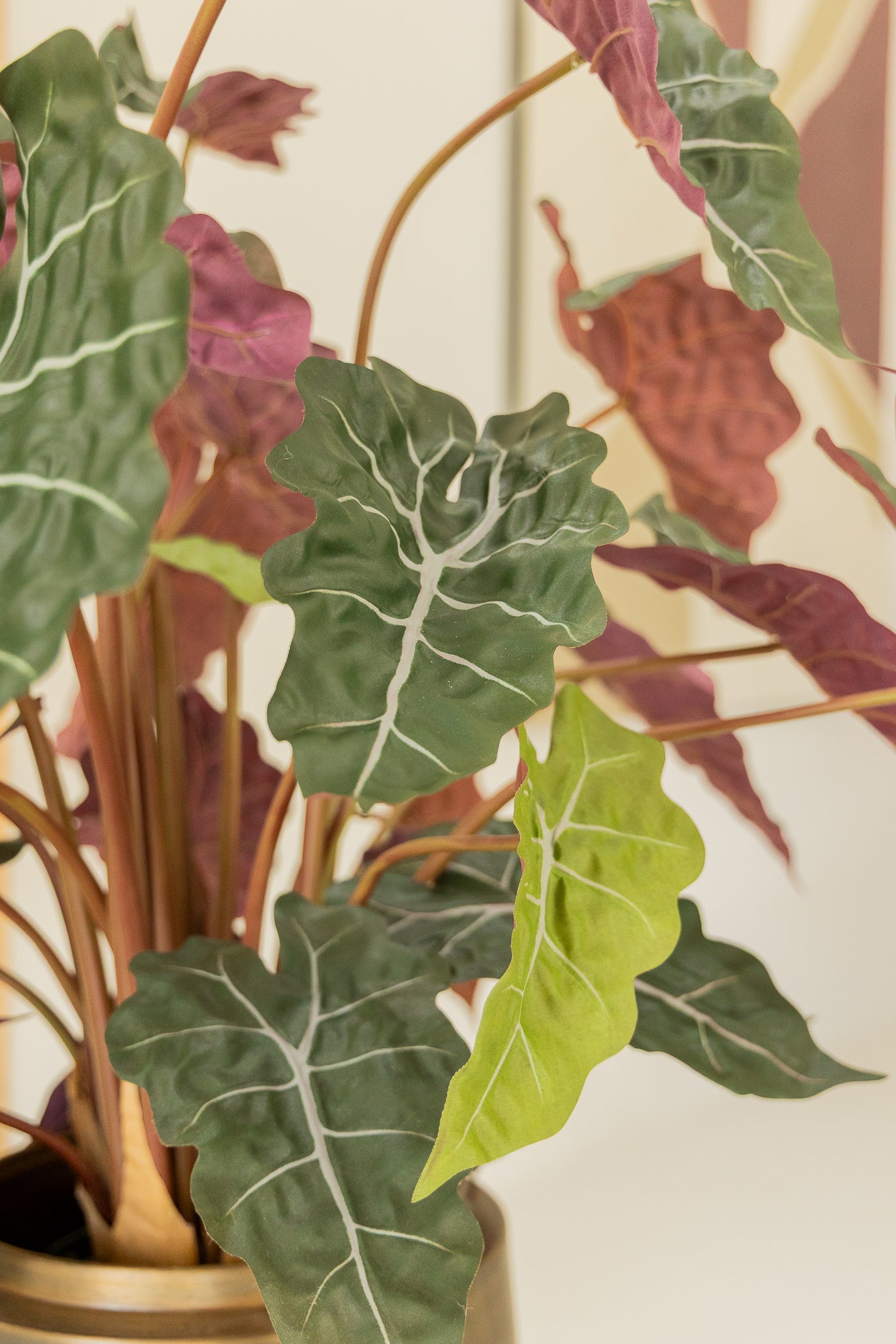 Alocasia Kunstpflanze 80cm