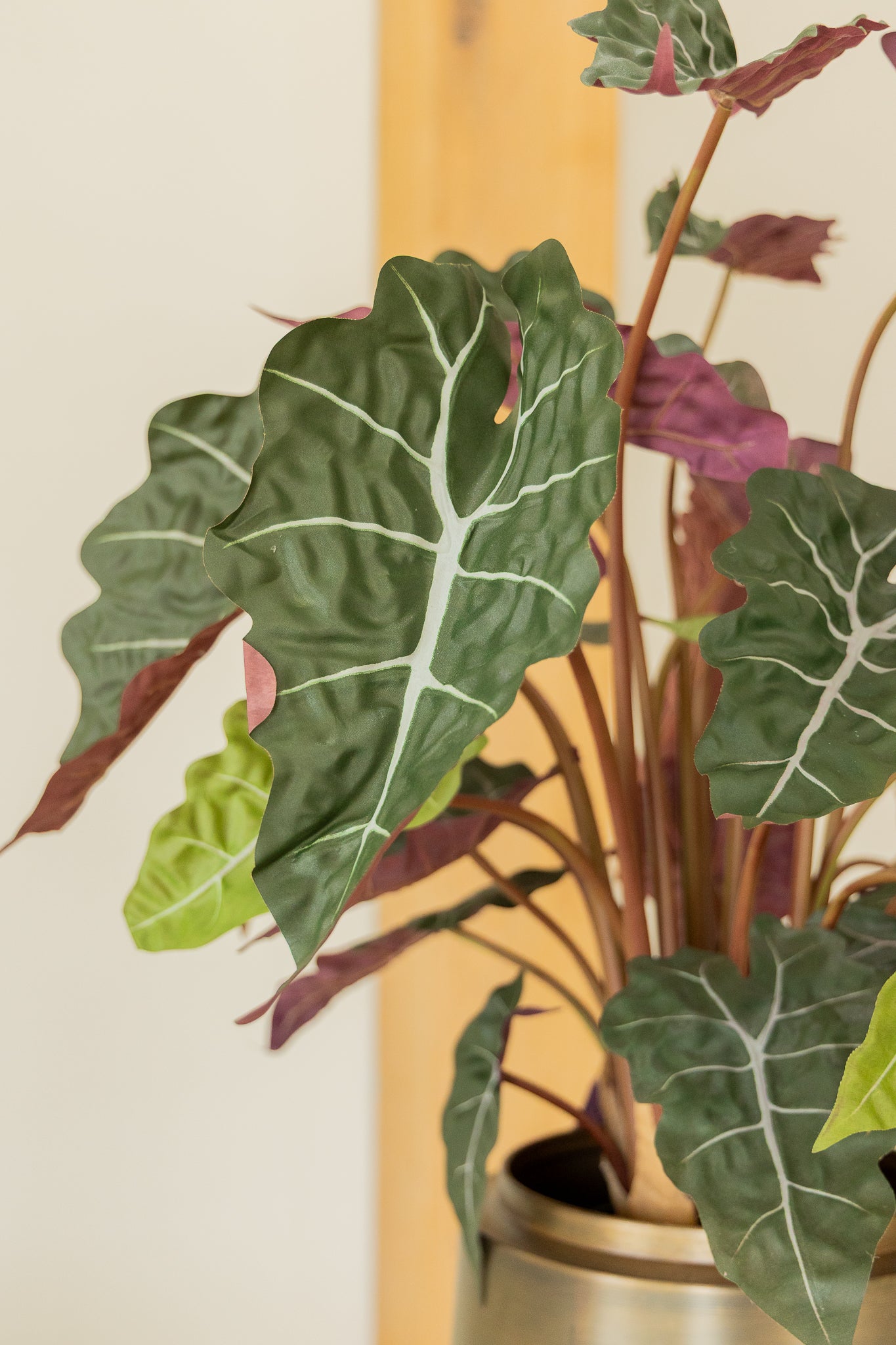 Alocasia Kunstpflanze 80cm