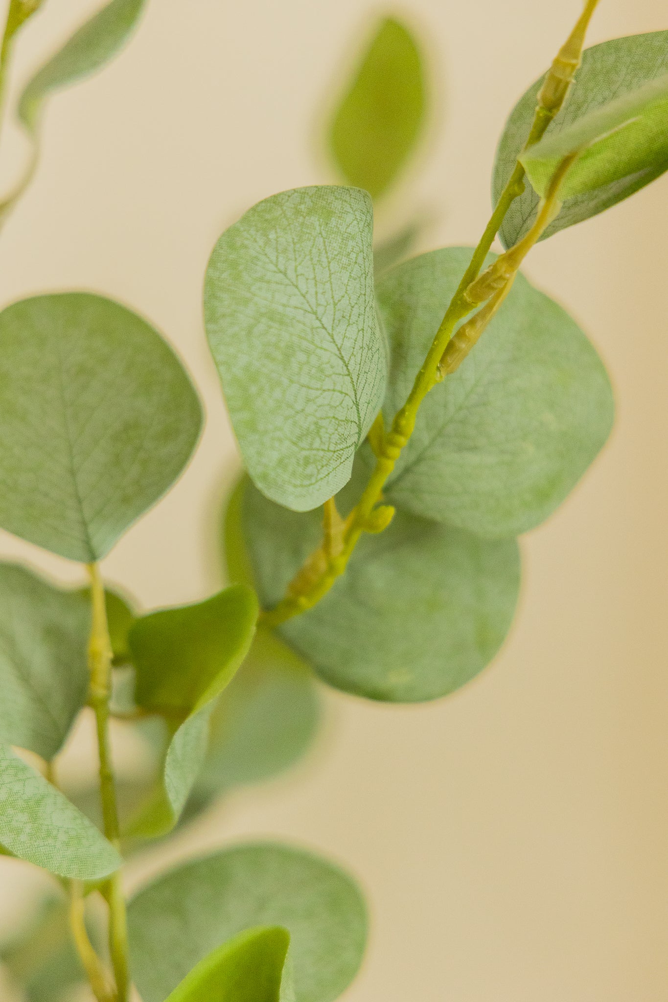 Eukalyptus Kunstpflanze 180cm