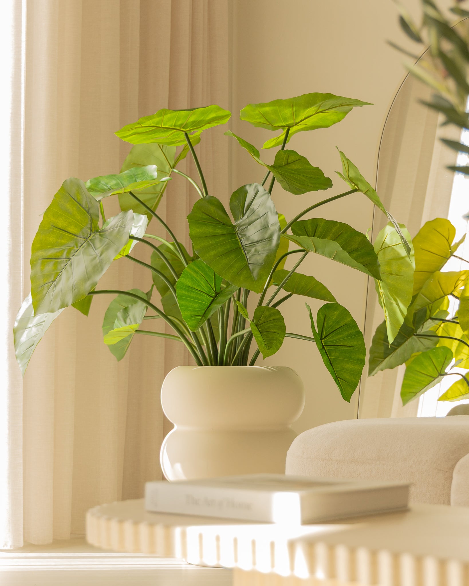 Kunstpflanze Alocasia 100 cm schnell günstig online kaufen