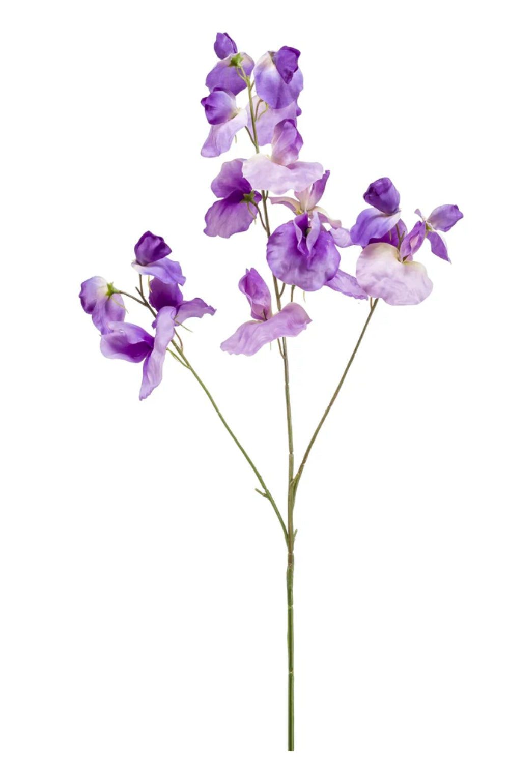 Lathyrus Kunstblume 75 cm Lila