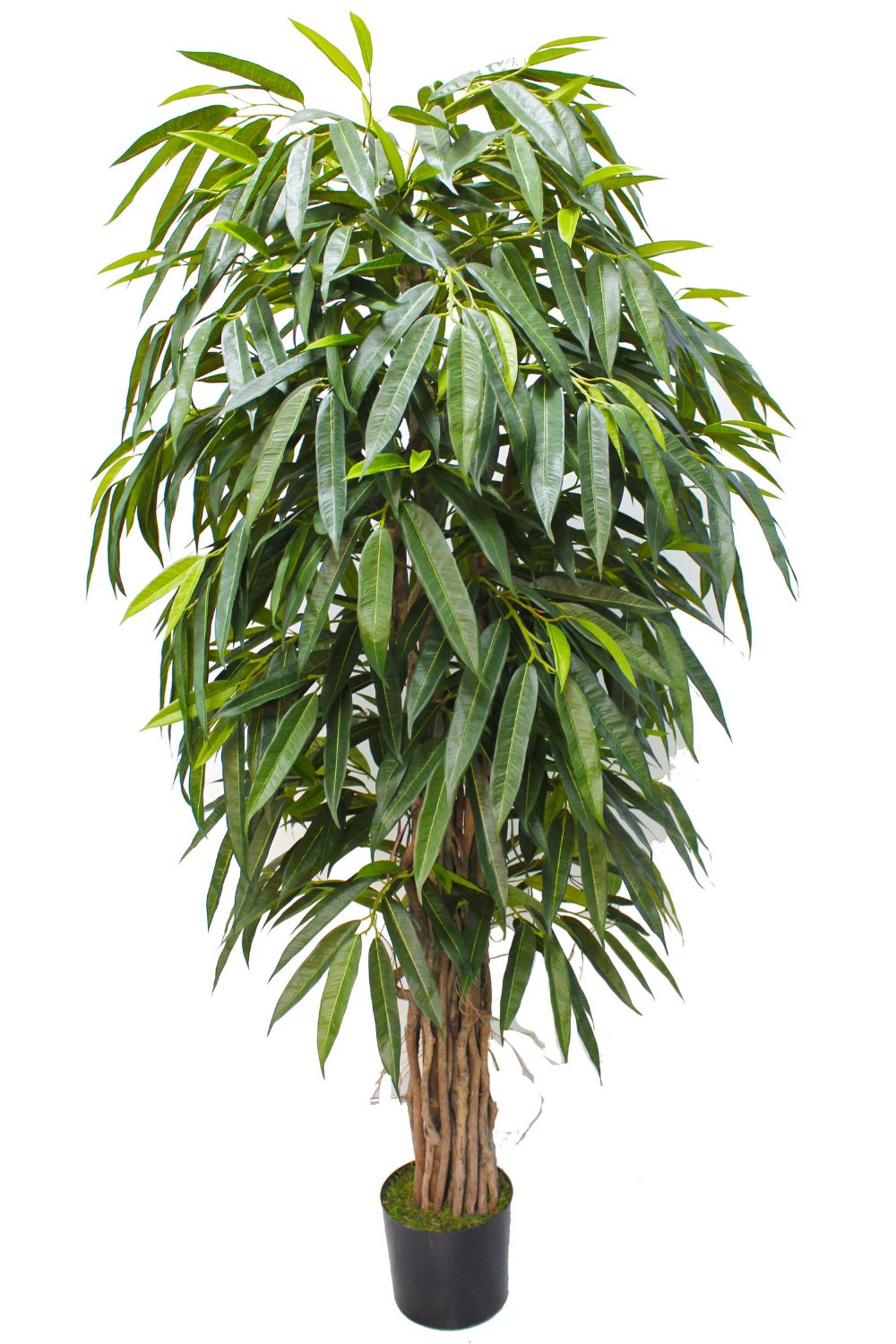 Longifolia Kunstpflanze 180 cm