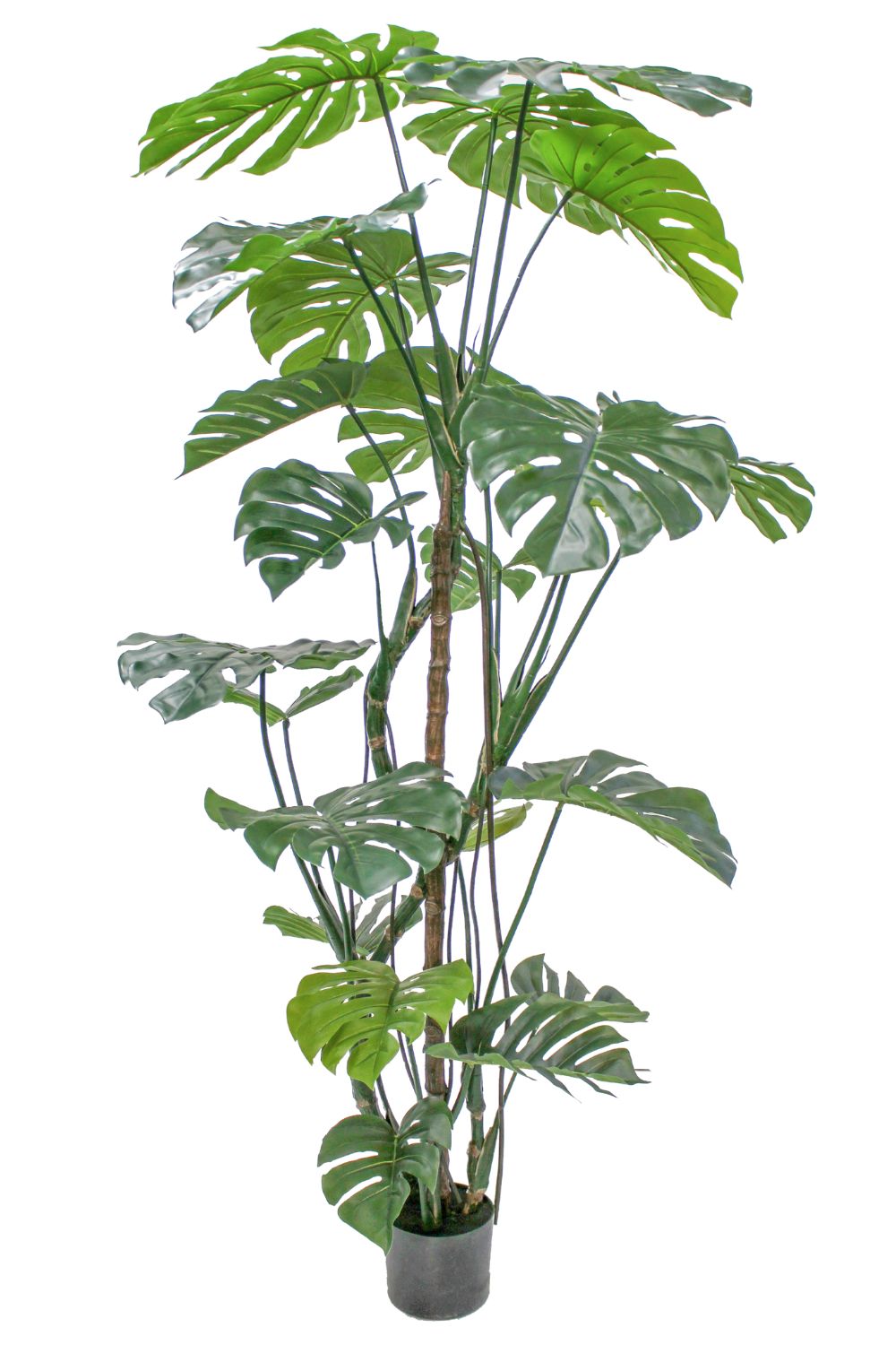 Monstera Kunstpflanze 180cm