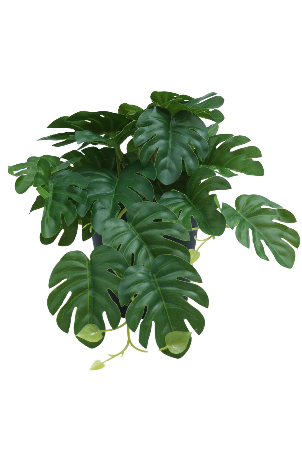 Monstera Kunstpflanze 17 cm - prettypflanzen