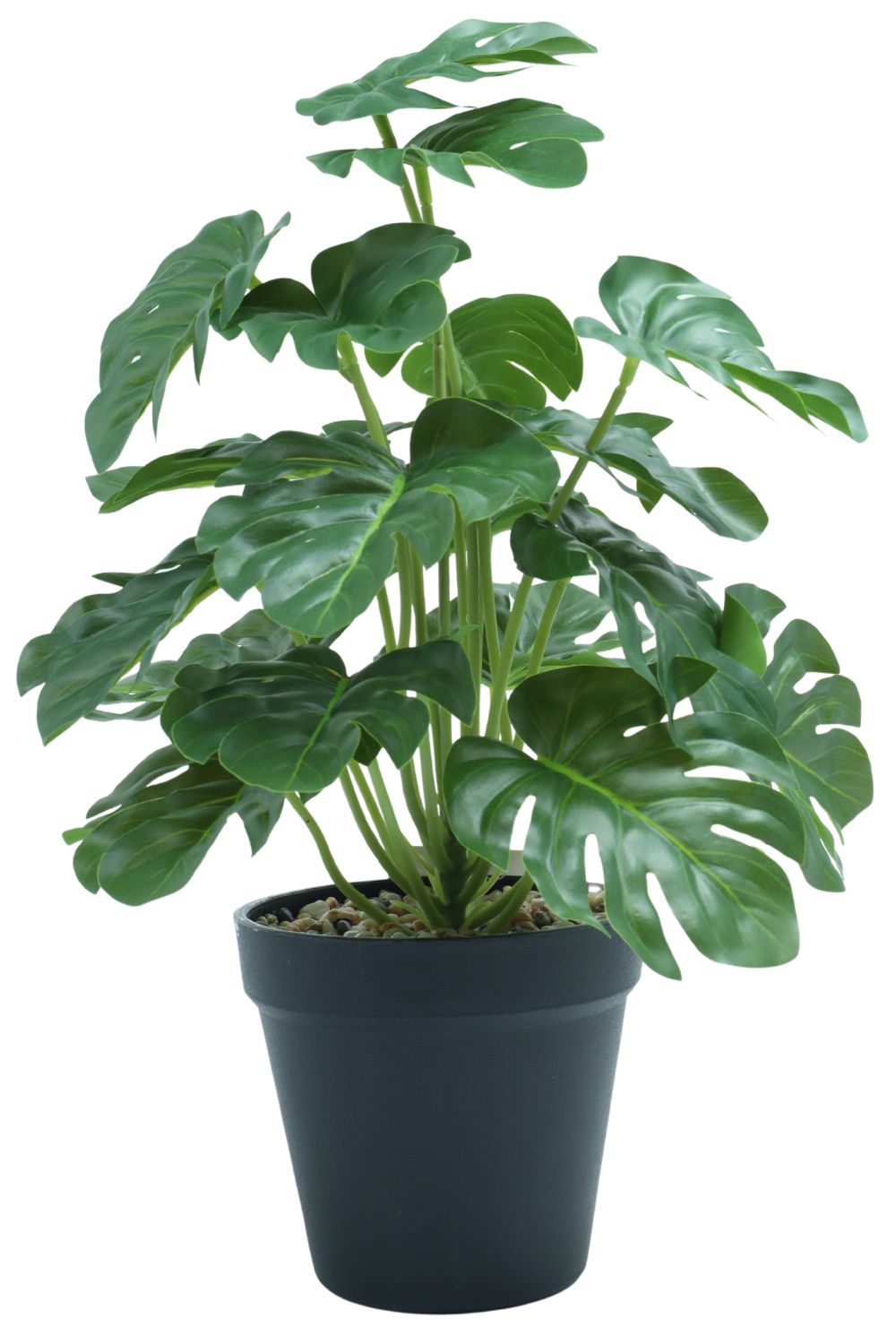 Monstera Kunstpflanze 32 cm – PrettyPflanzen