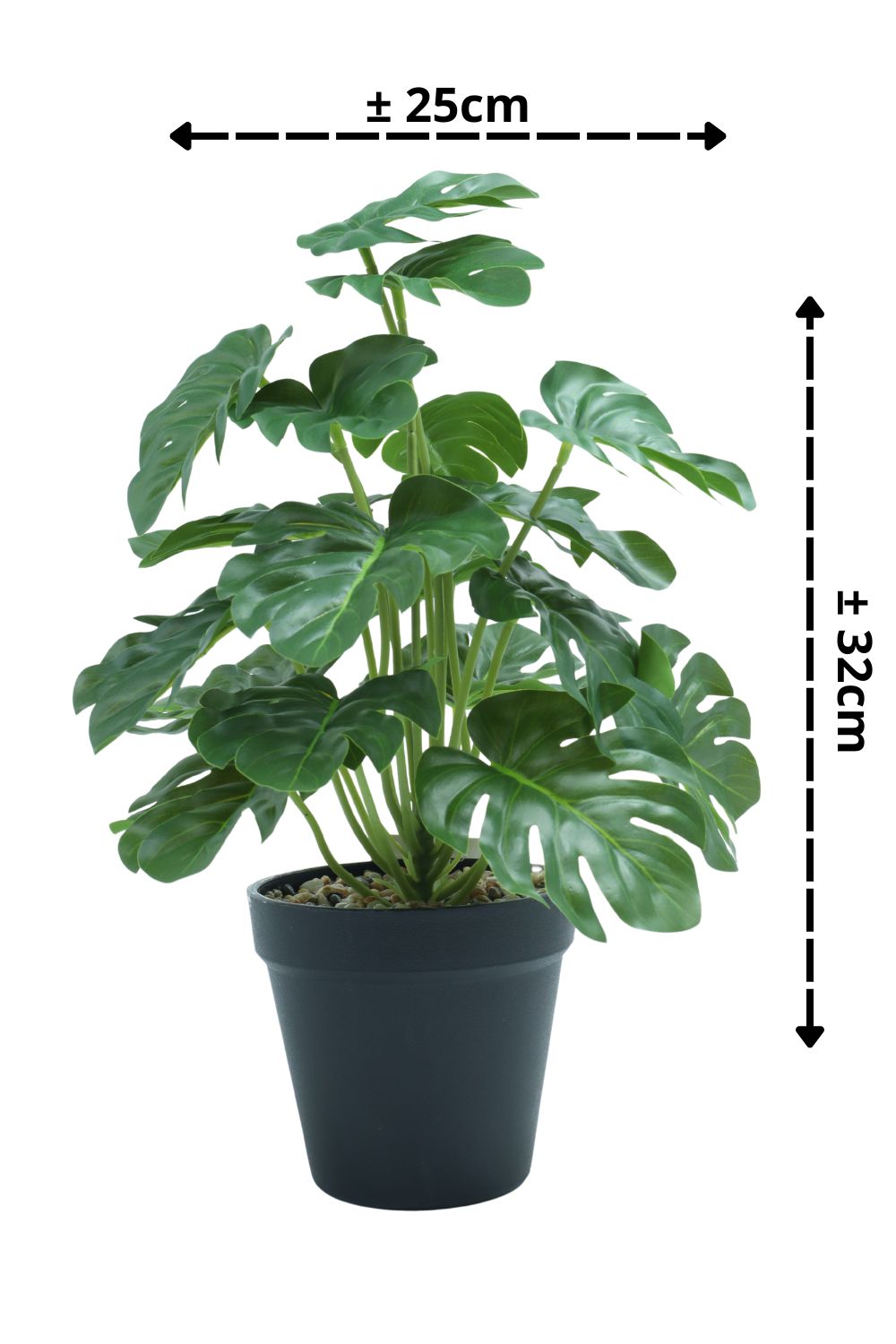 Monstera Kunstpflanze 32 cm – PrettyPflanzen