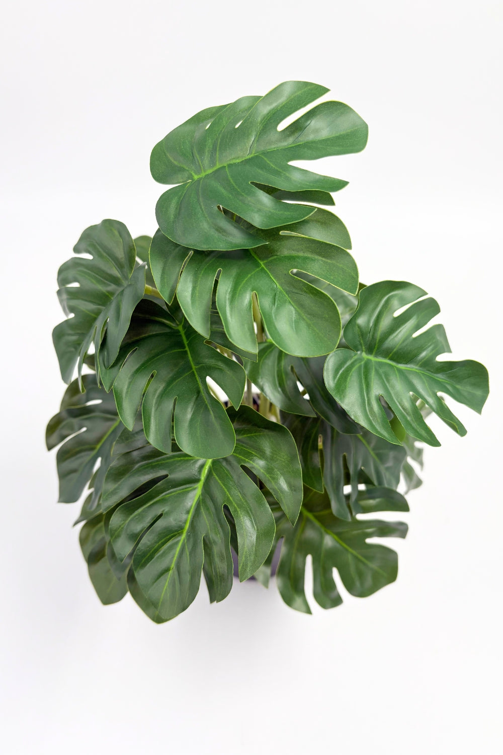 Monstera Kunstpflanze 32 cm – PrettyPflanzen