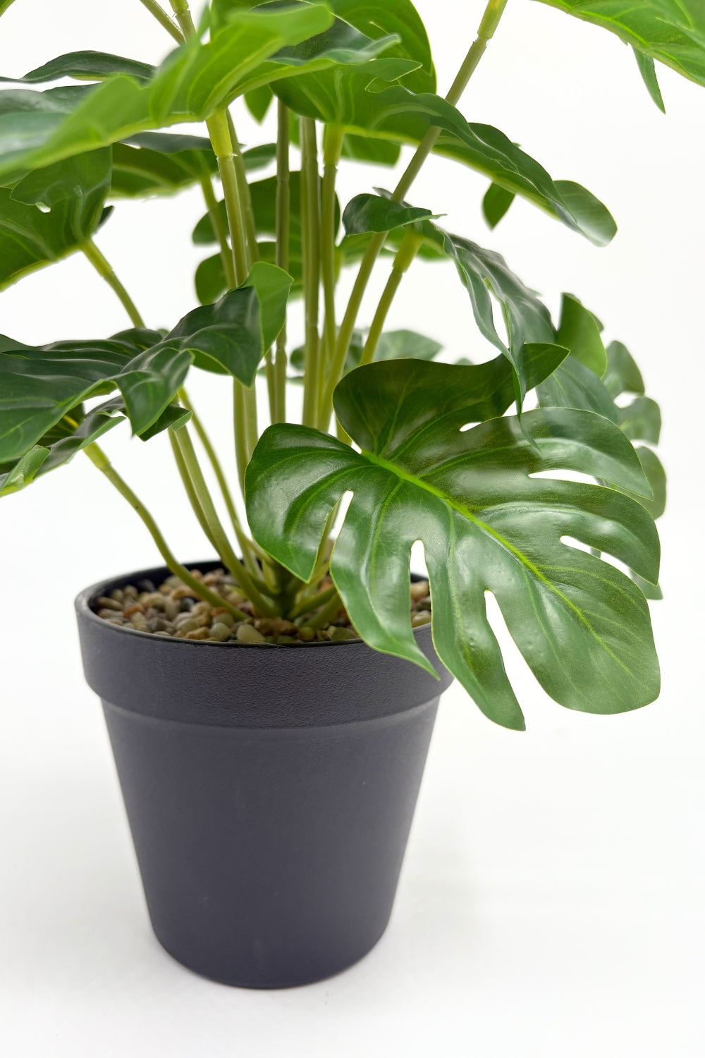 Monstera Kunstpflanze 32 cm – PrettyPflanzen