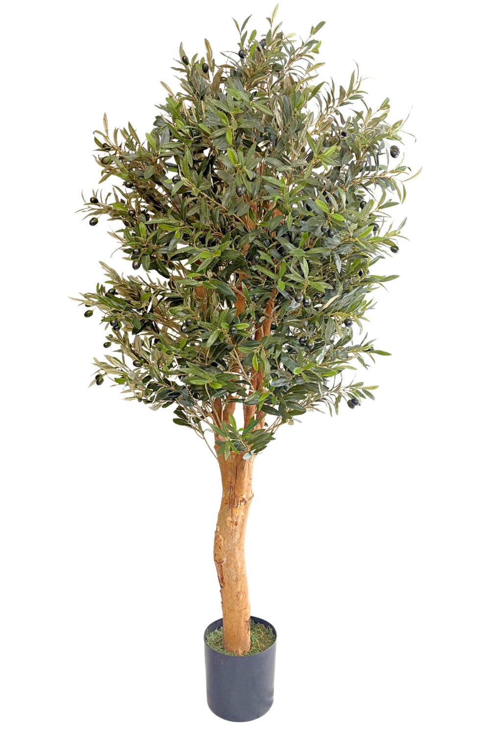 Künstlicher Olivenbaum 160 cm günstig online kaufen