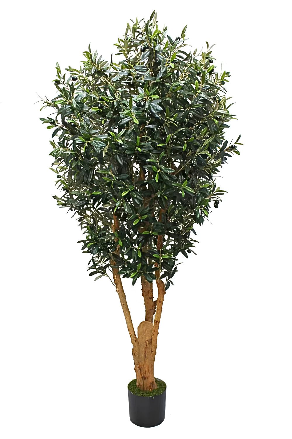Vorbestellung Künstlicher Olivenbaum 180cm Deluxe (Anfang Juni)