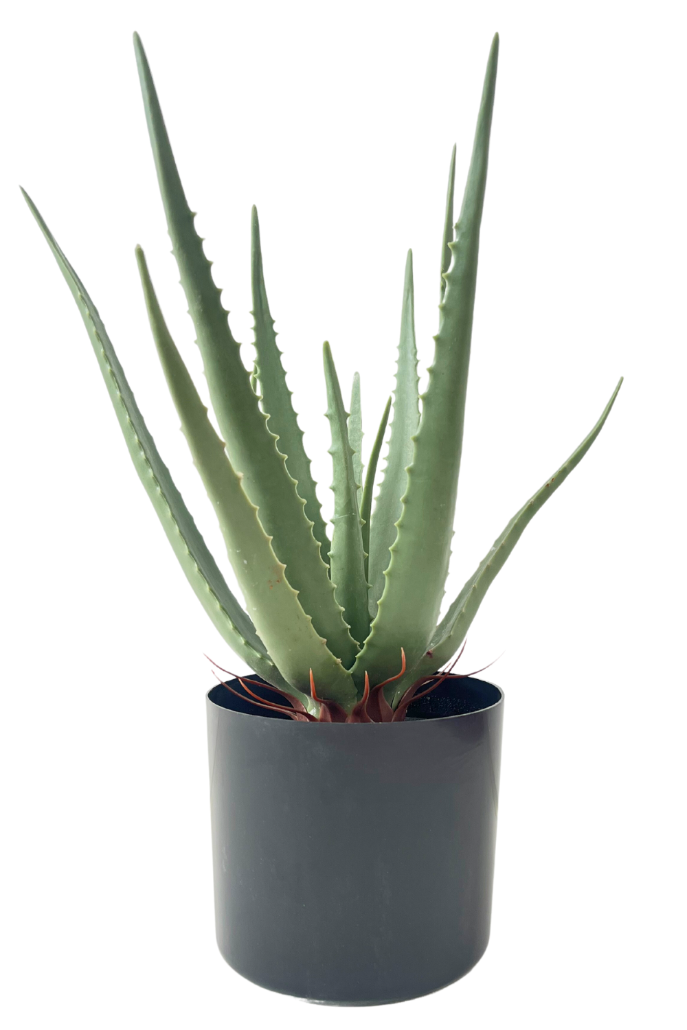 Kunstpflanze Aloe Vera 45cm schnell günstig online kaufen