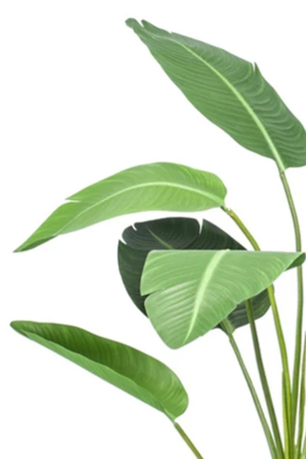 Strelitzie Kunstpflanze 120cm