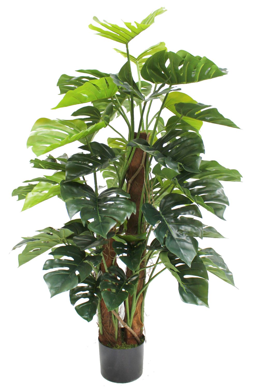 Monstera Kunstpflanze 120 cm schnell günstig online kaufen