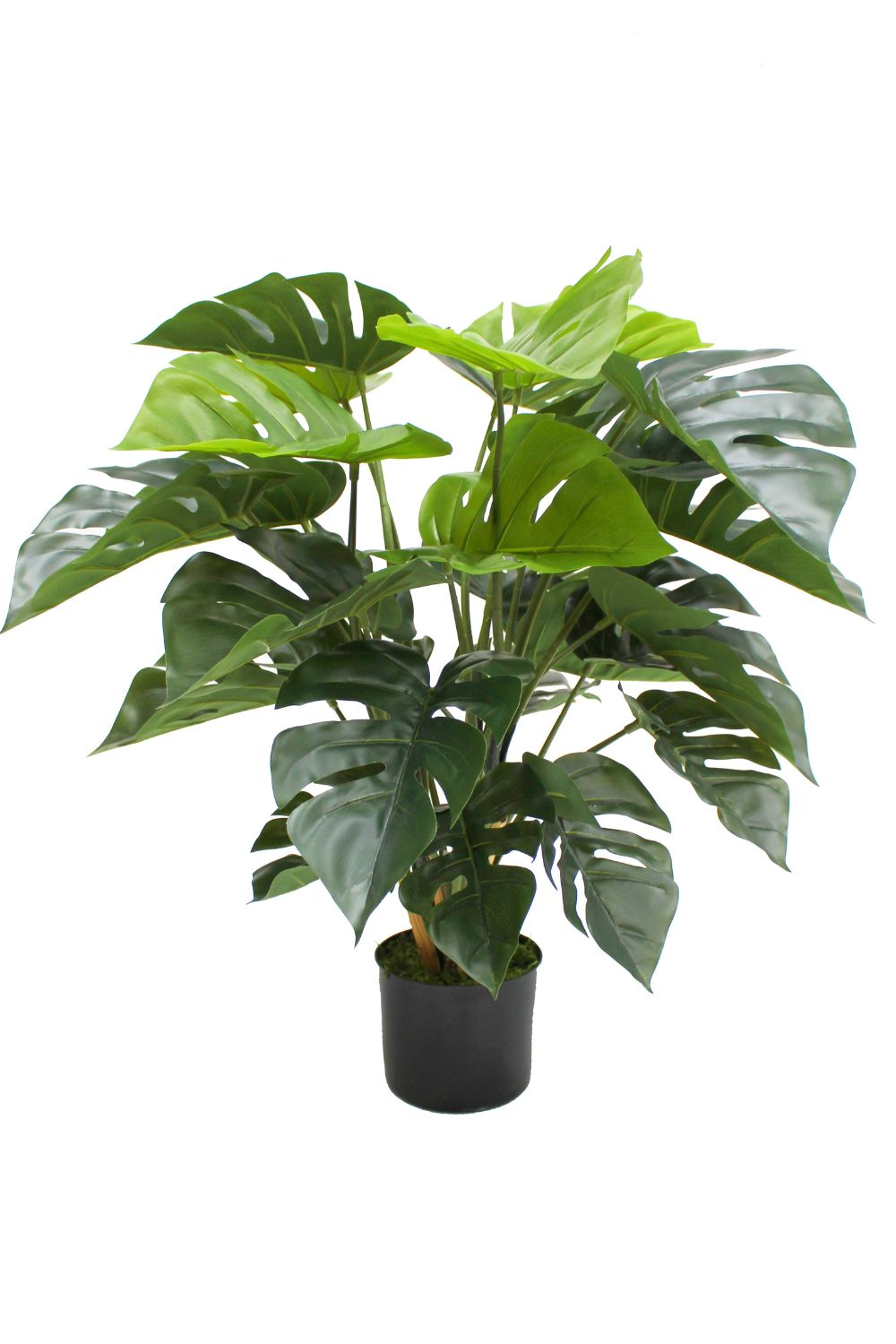 Monstera Kunstpflanze 65 cm schnell günstig online kaufen