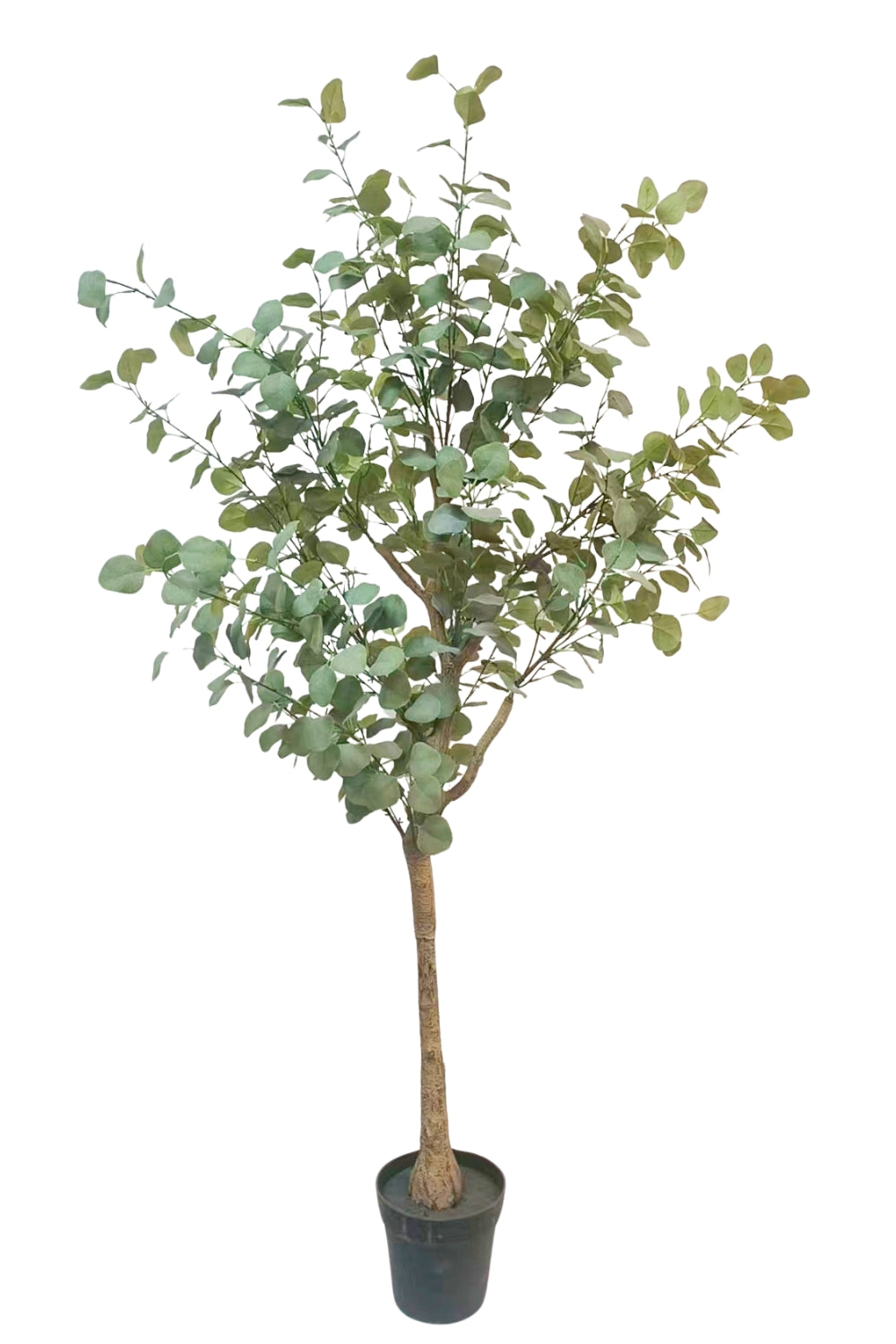 Eukalyptus Kunstbaum 180cm schnell günstig online kaufen