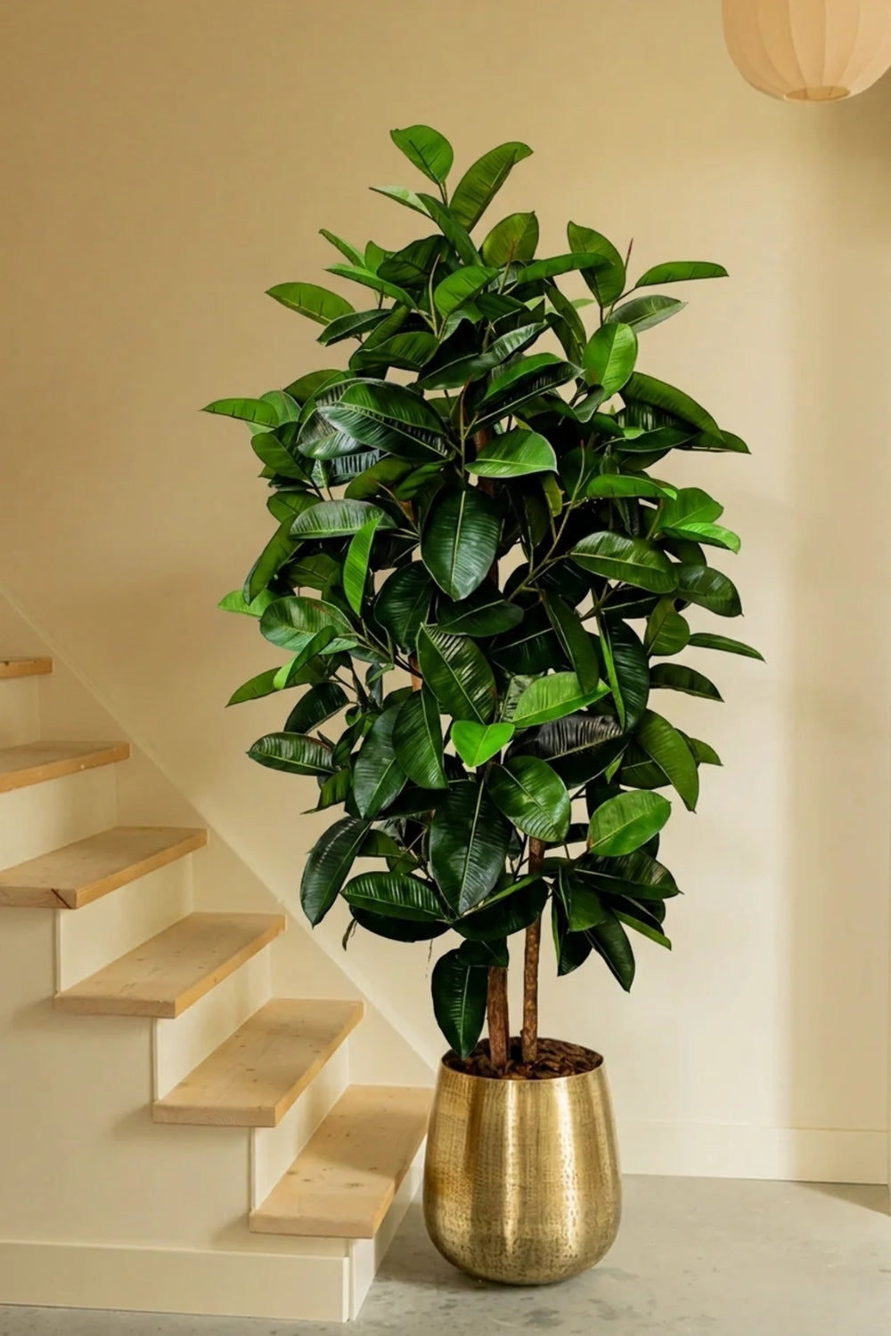 Vorbestellung Ficus Elastica Kunstpflanze 180cm