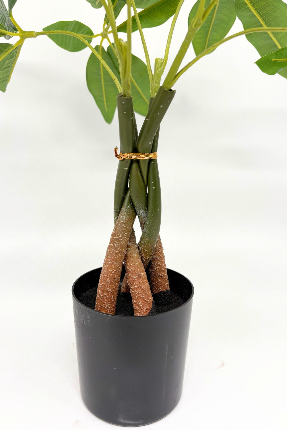 Pachira Kunstpflanze 45 cm - prettypflanzen