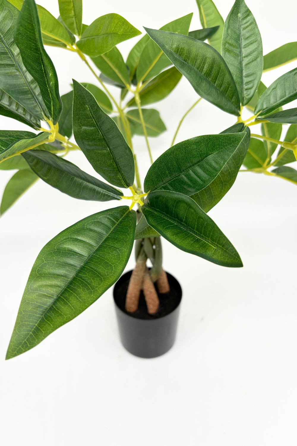 Pachira Kunstpflanze 45 cm - prettypflanzen