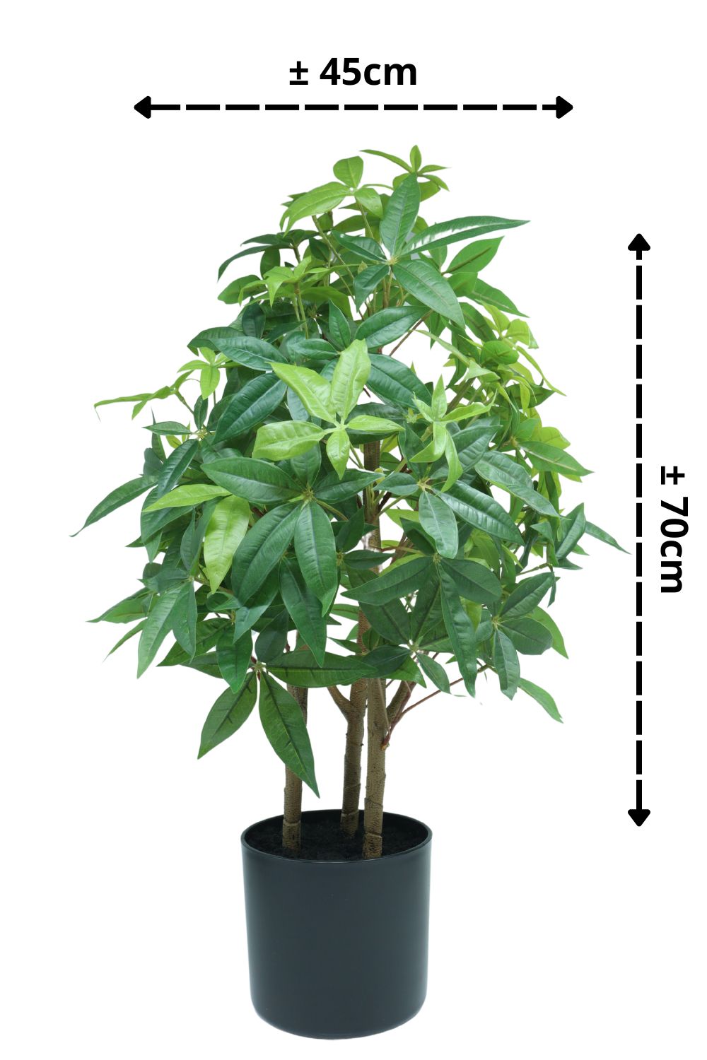 Pachira Kunstpflanze 70cm - prettypflanzen